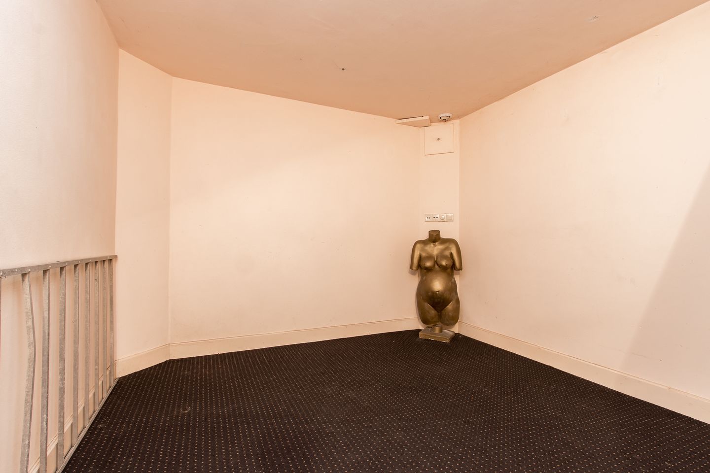 Foto 65 van Wijksestraat 33