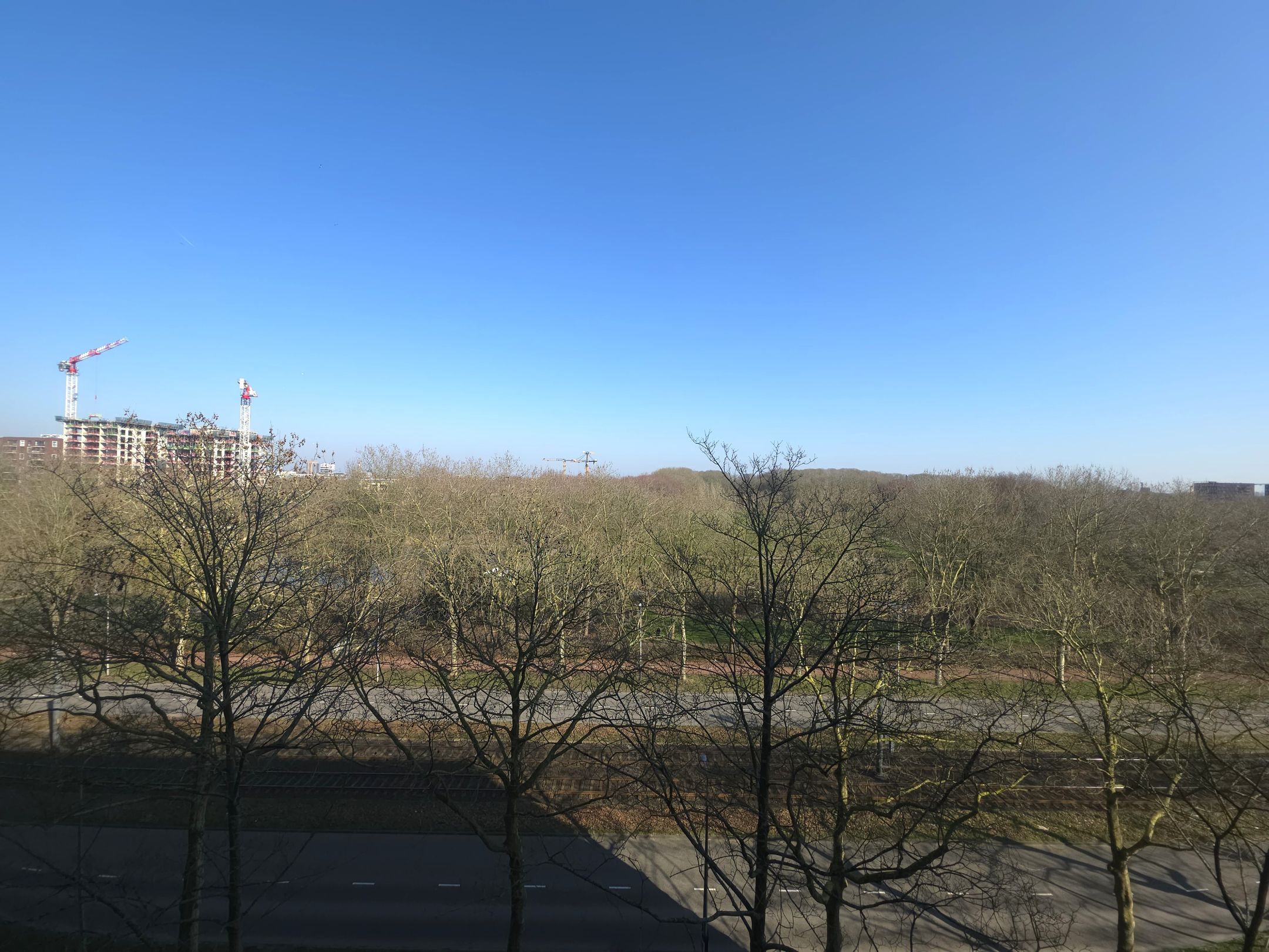 Foto 21 van Livingstonelaan 568