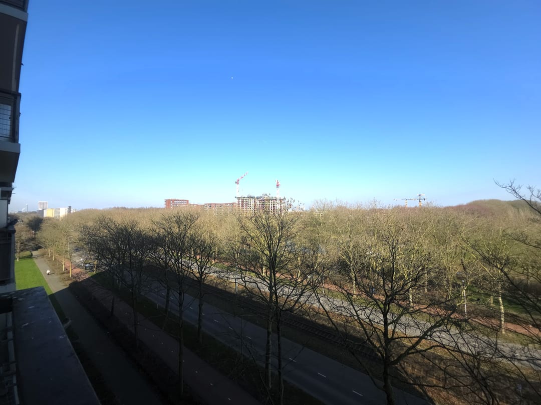 Foto 23 van Livingstonelaan 568