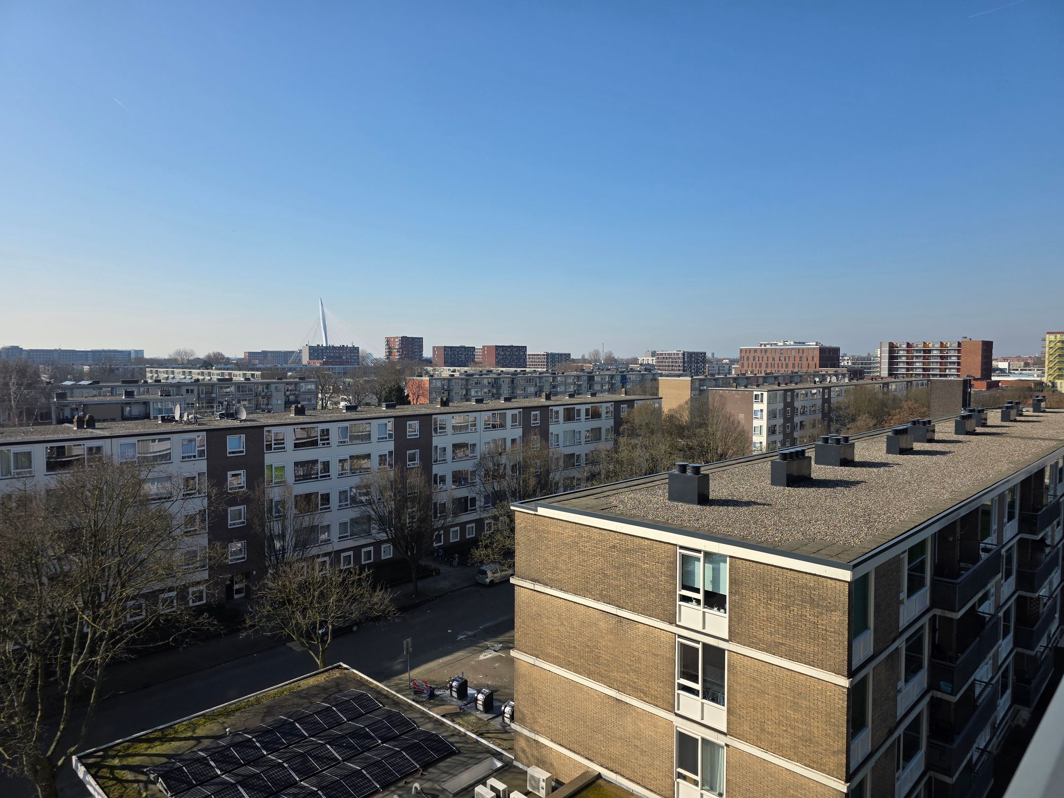 Foto 27 van Livingstonelaan 568