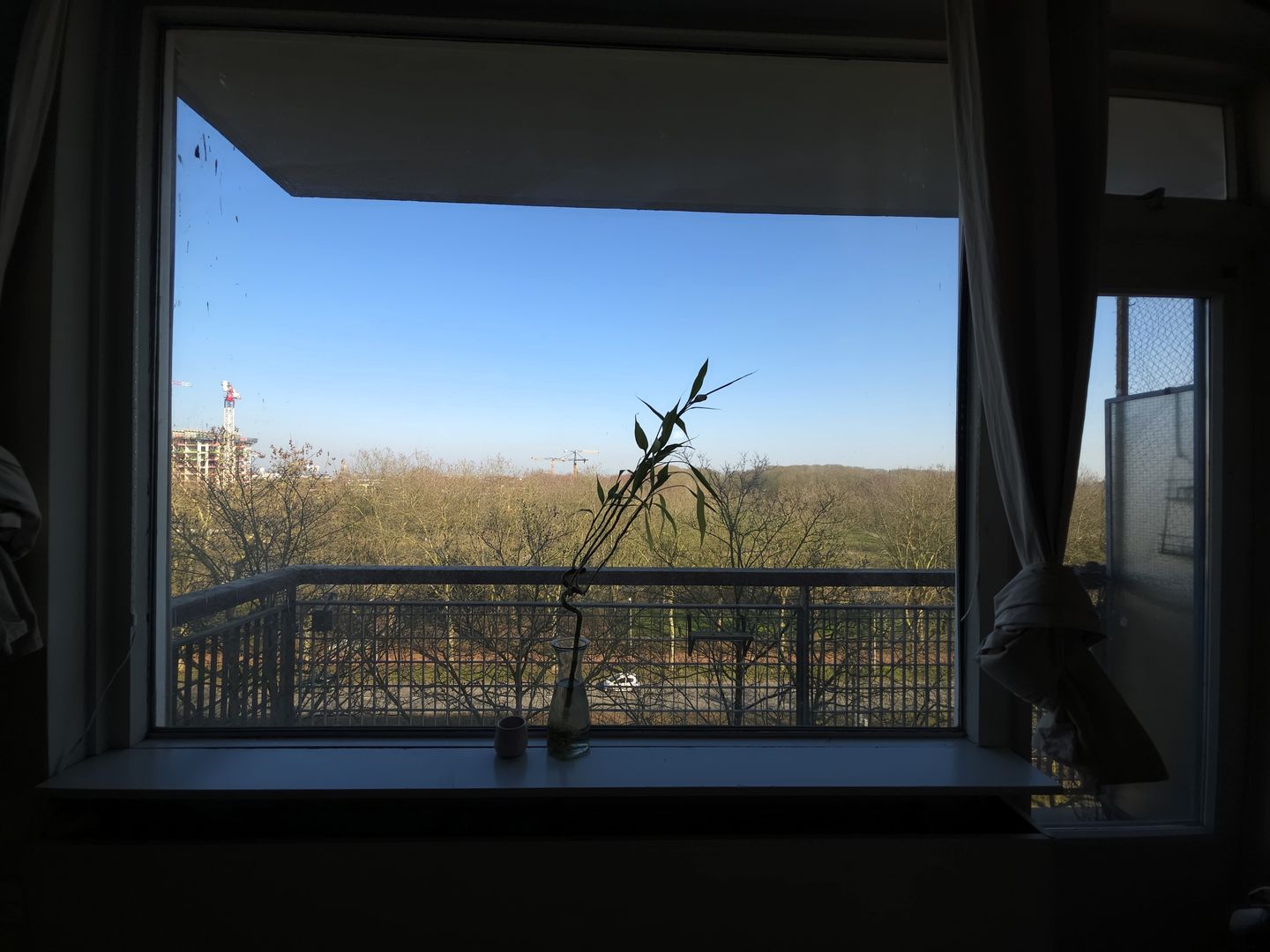 Foto 19 van Livingstonelaan 568