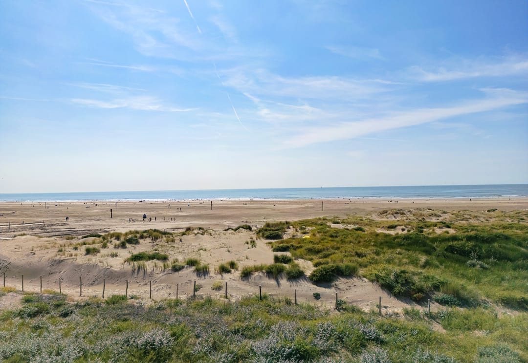Very atmospheric 2-room apartment with magnificent view of beach, sea and pier — 35