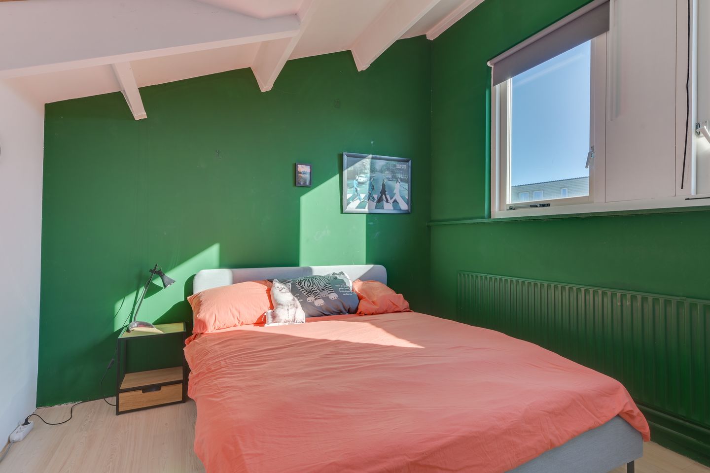 Foto 25 van Rijperwaard 102