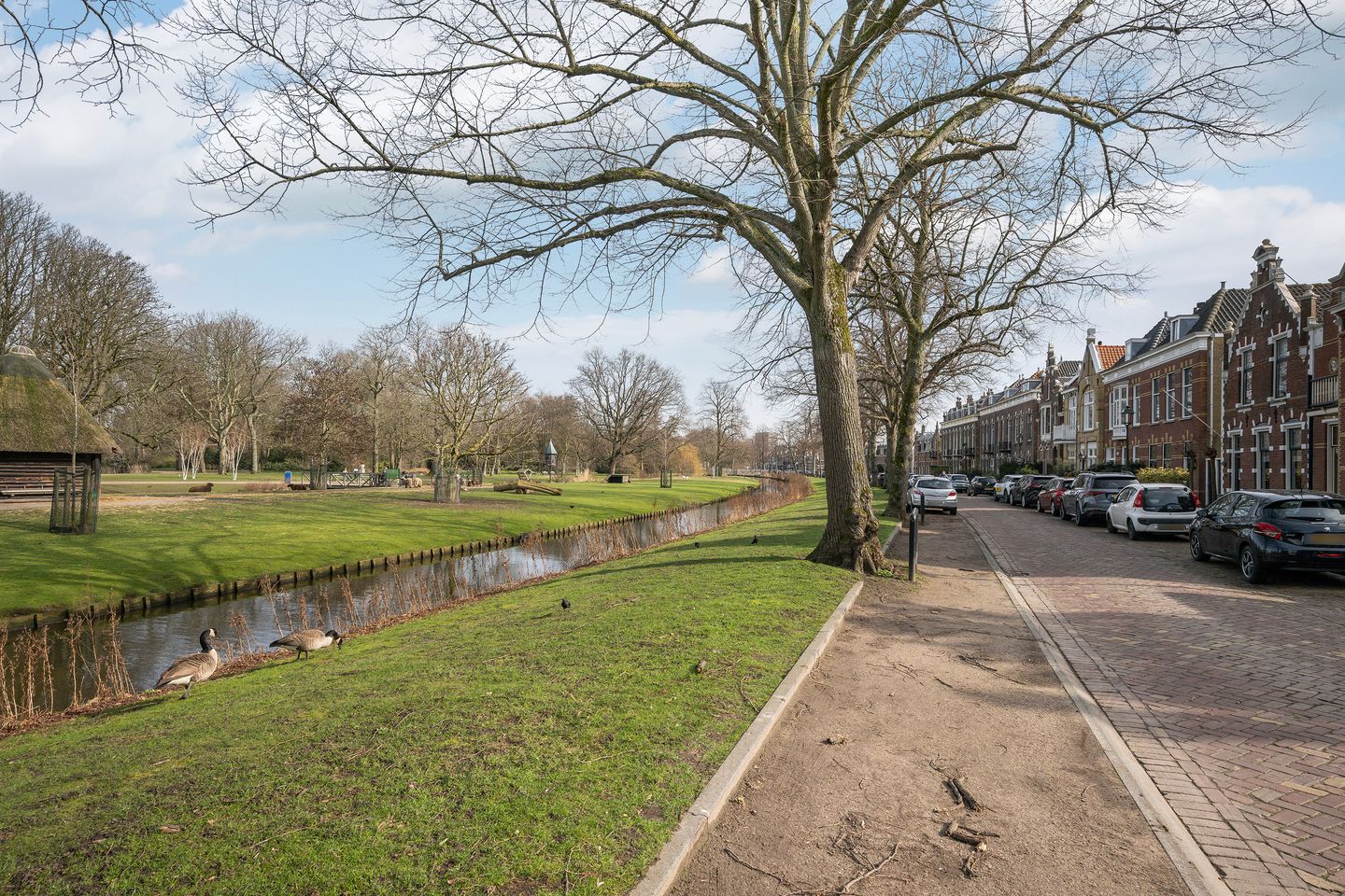 Photo 49 of Hofsingel 14