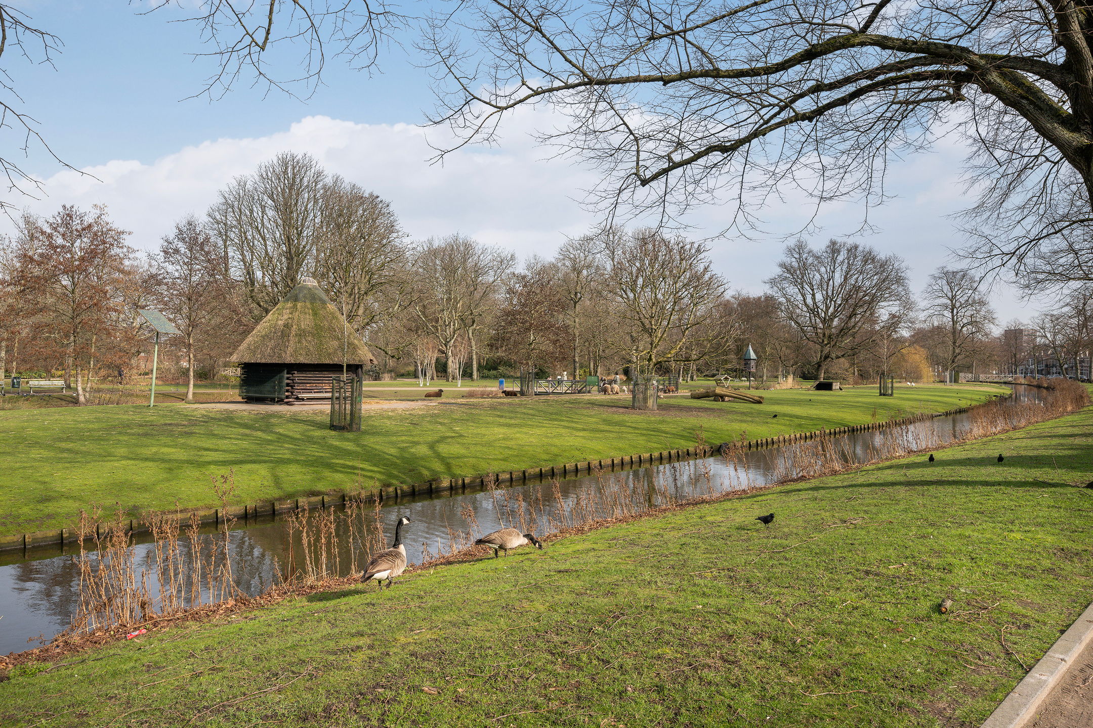 Photo 51 of Hofsingel 14