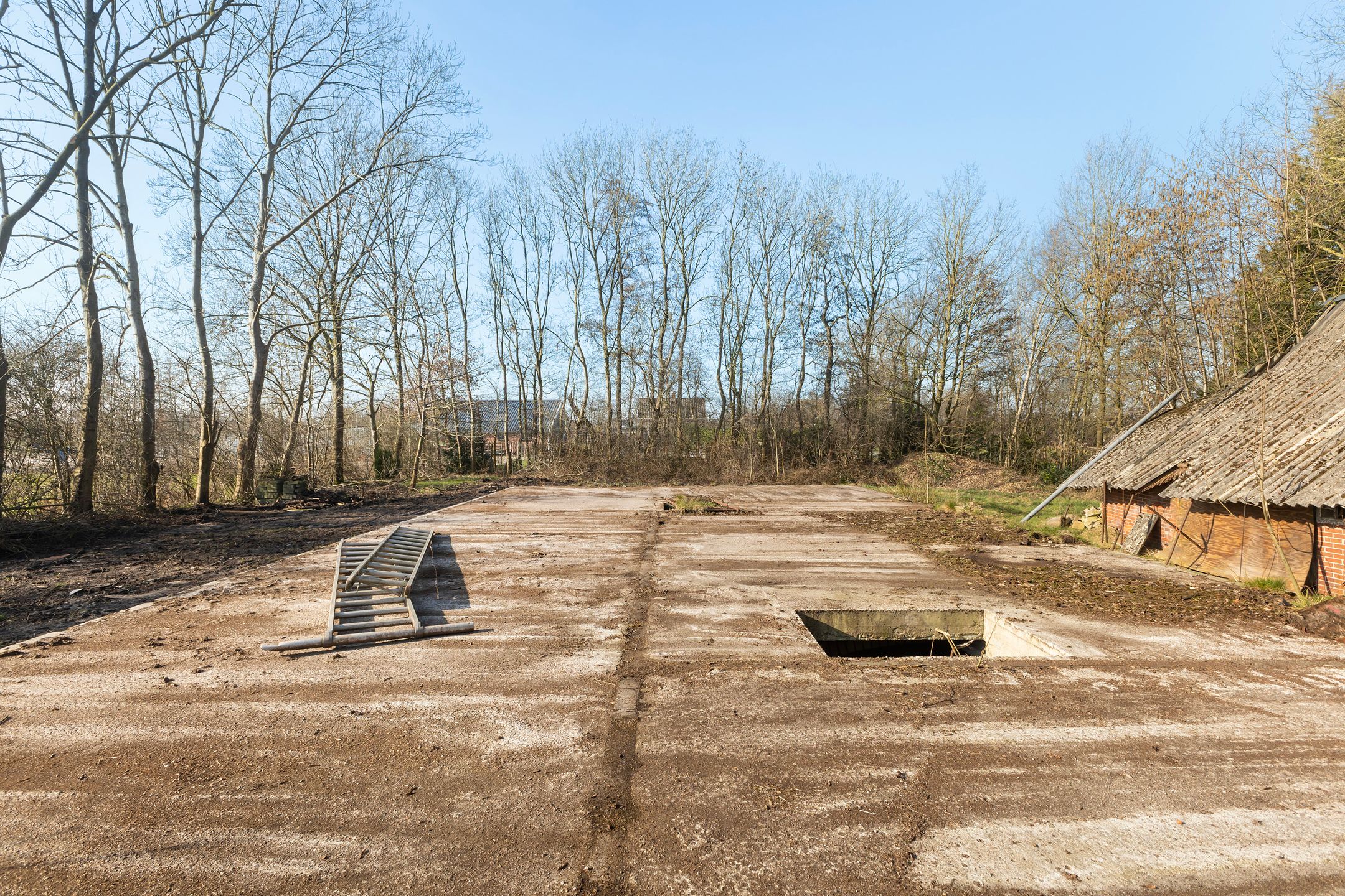 Foto 24 van Spekloane 33