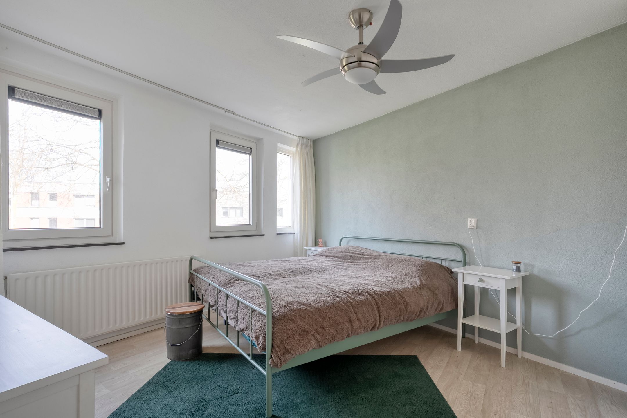 Foto 3 van Silene 46