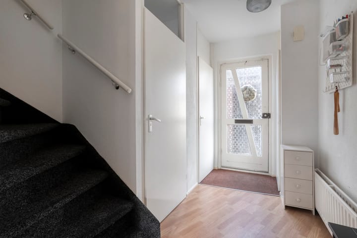 Photo 4 of Silene 46