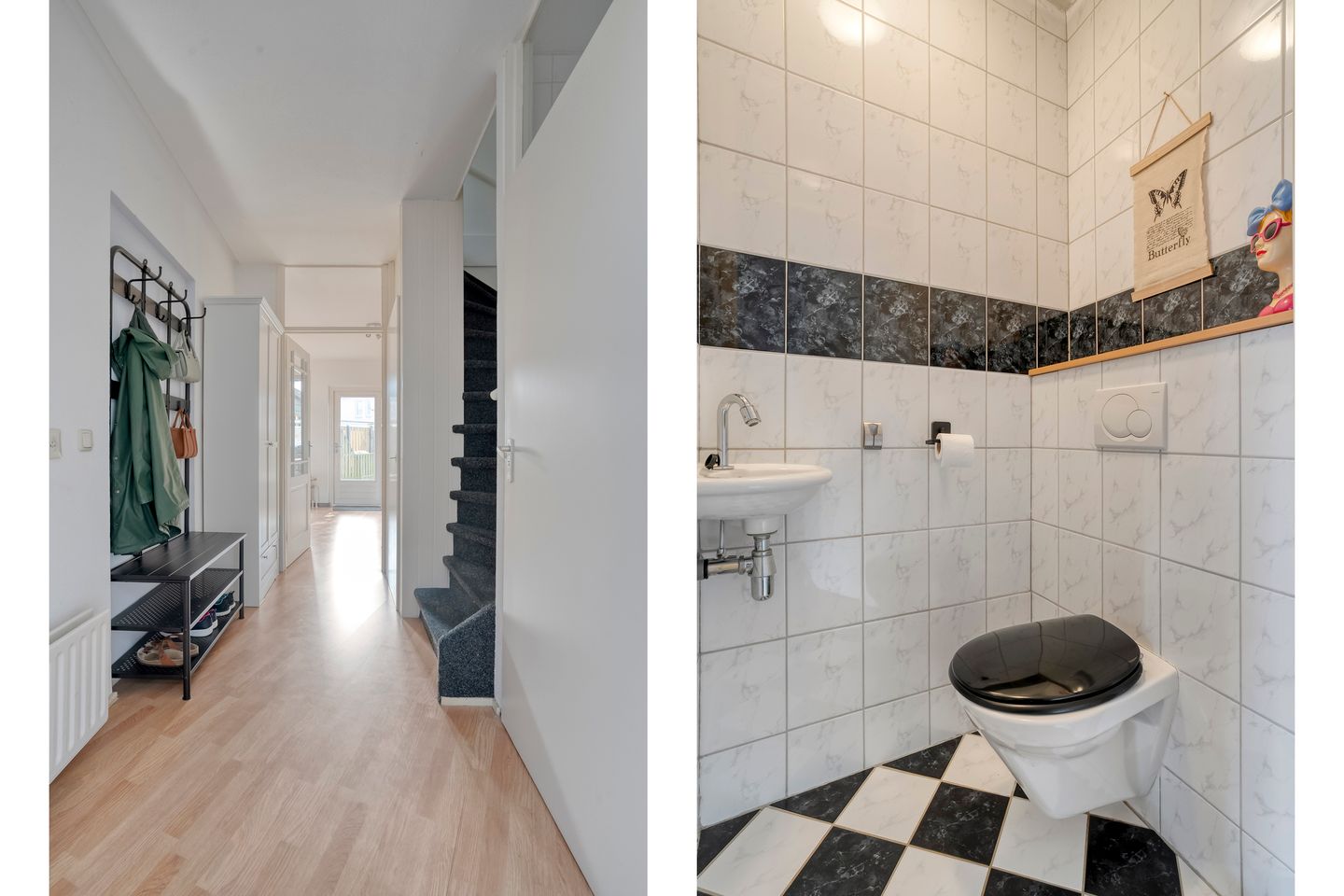 Foto 5 van Silene 46