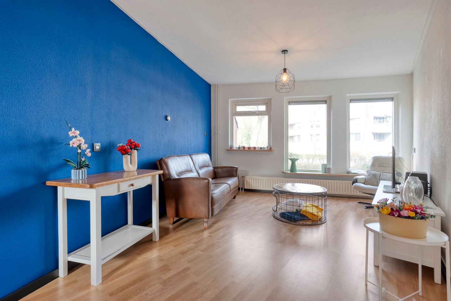 Foto 10 van Silene 46