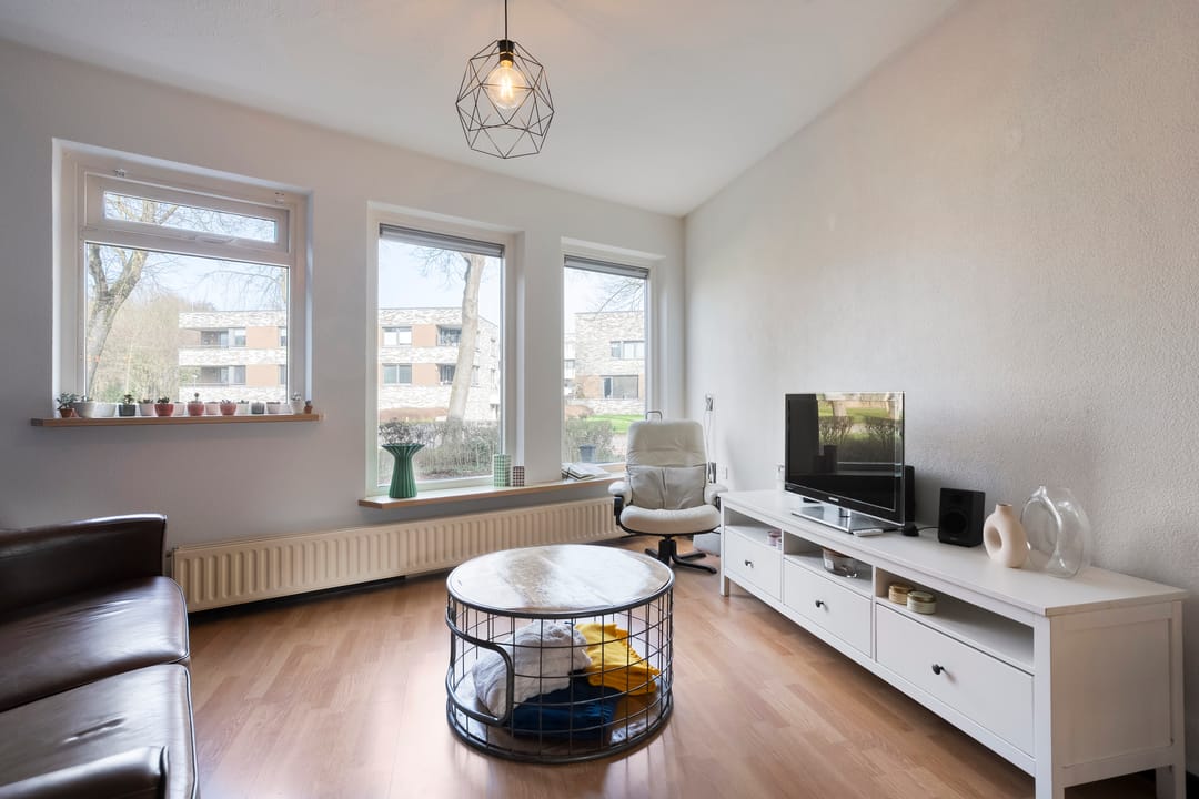 Foto 13 van Silene 46