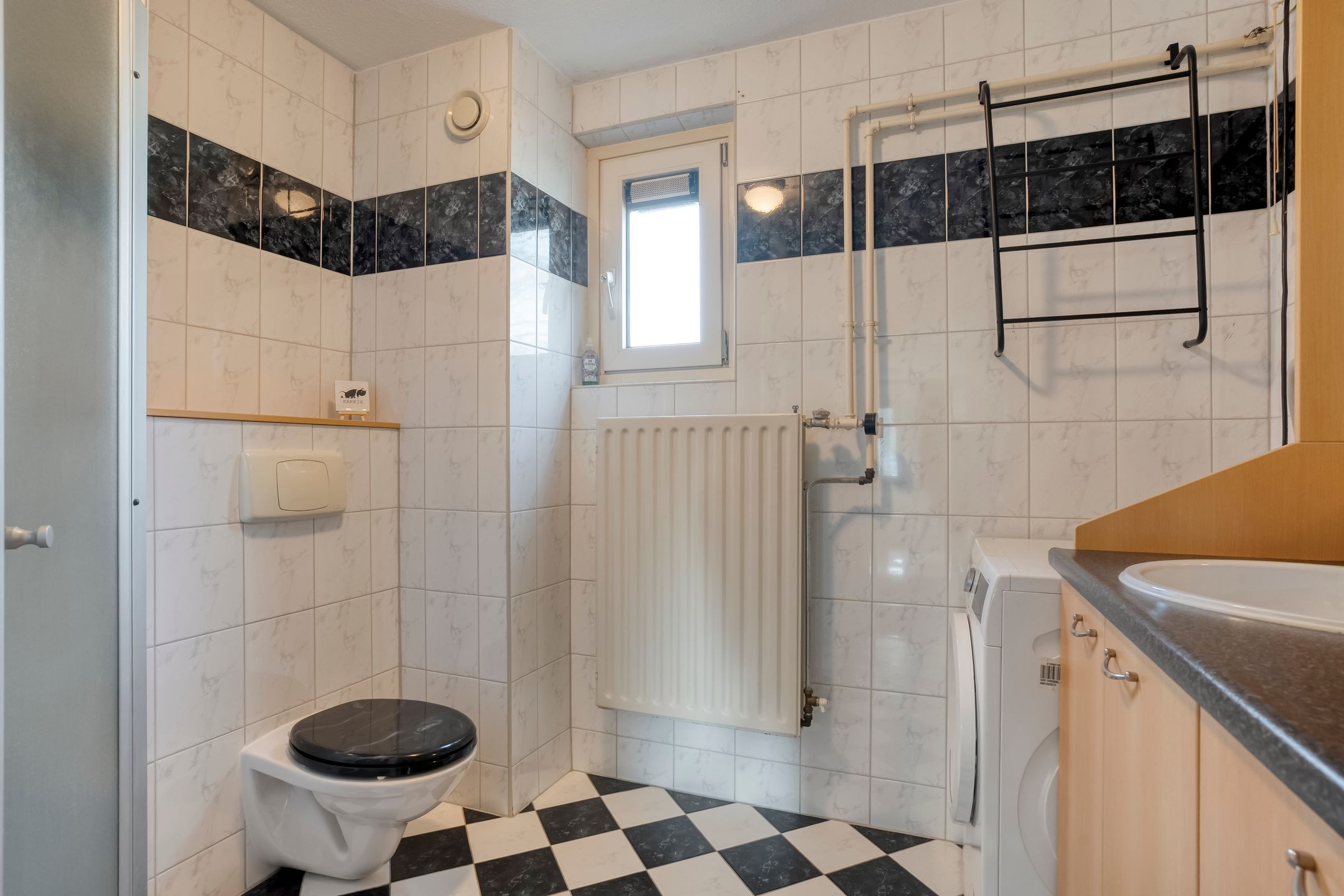 Foto 21 van Silene 46