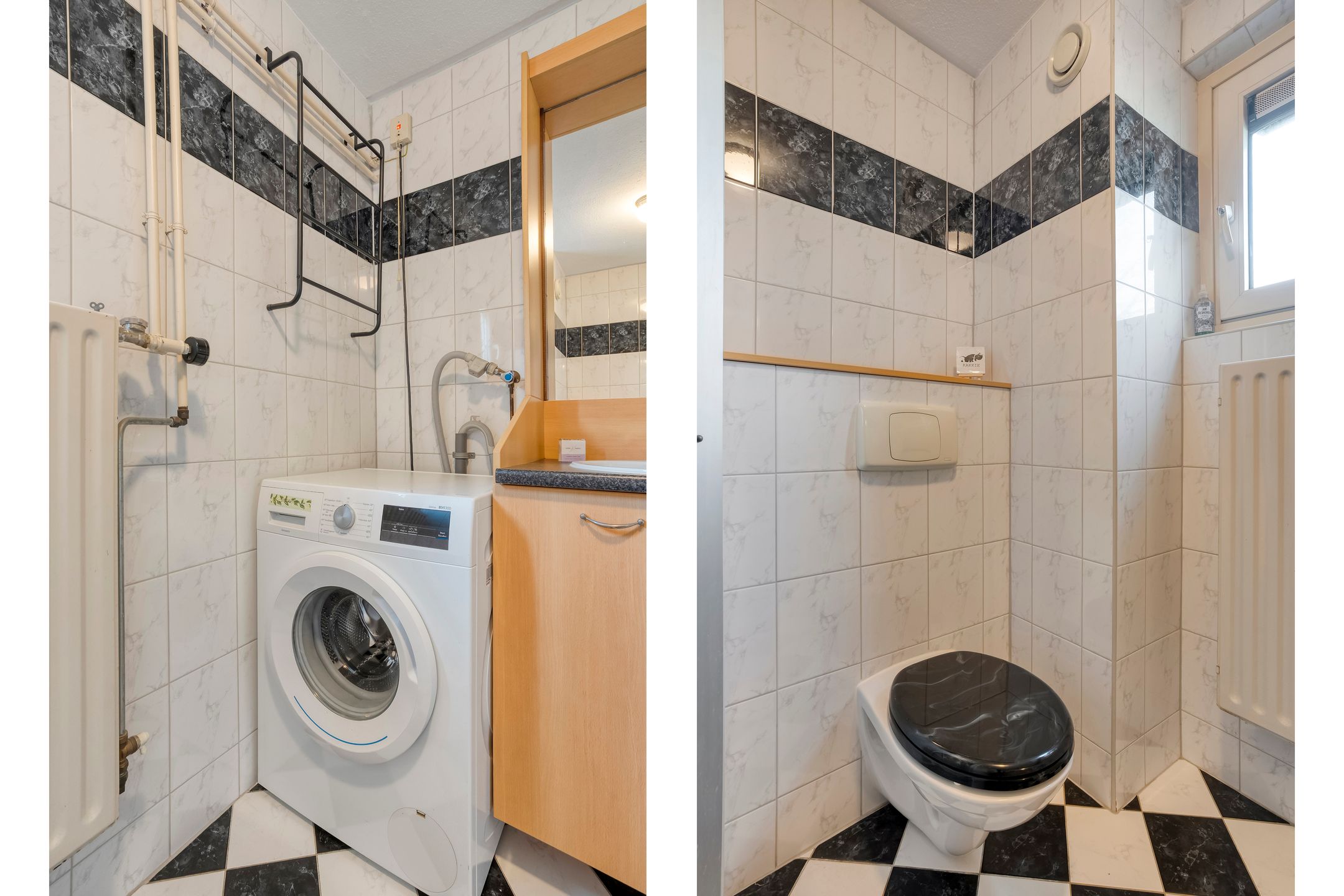 Foto 24 van Silene 46