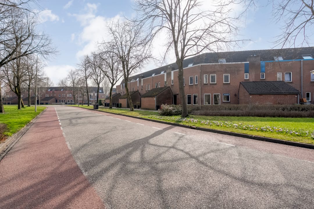 Foto 38 van Silene 46