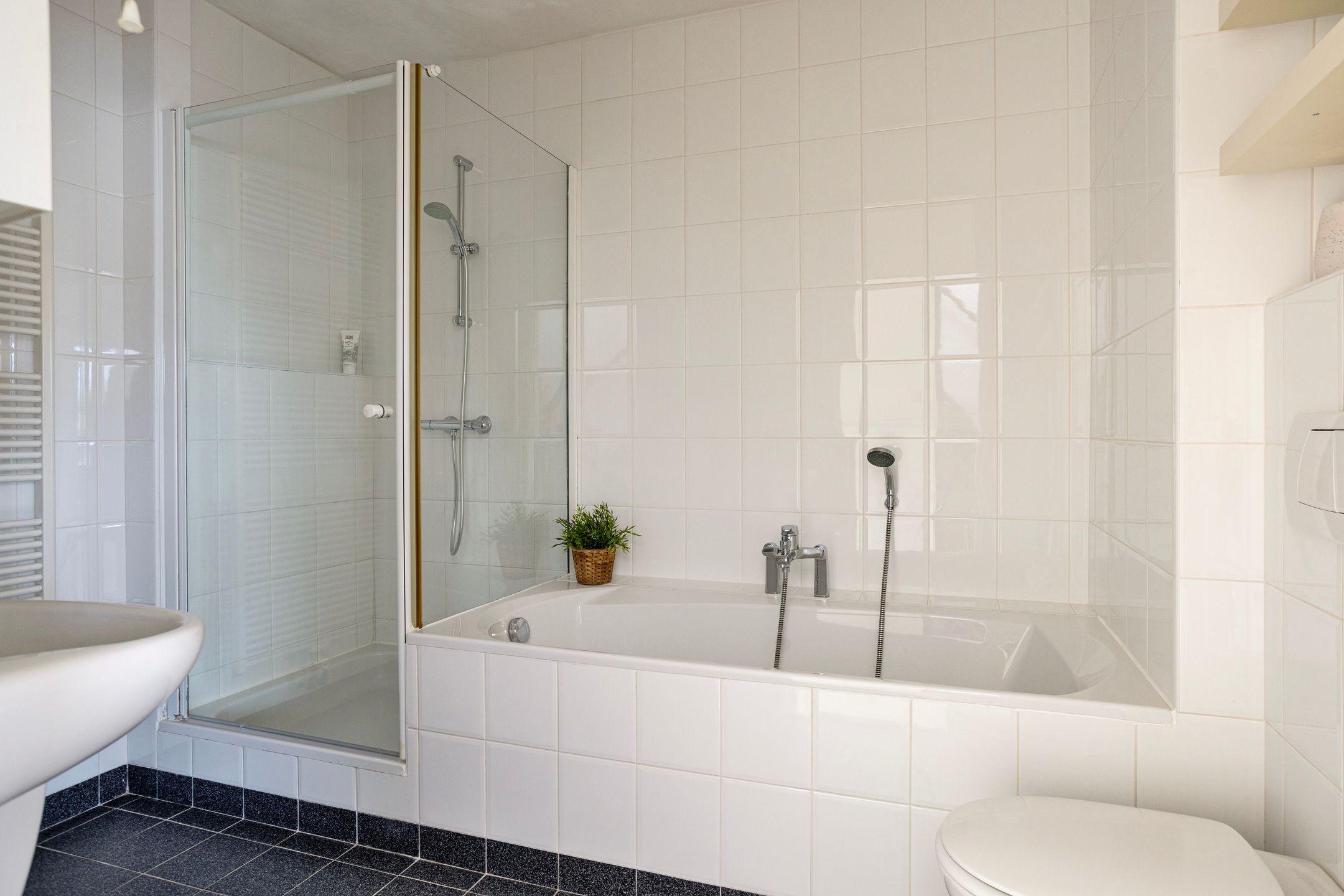 Foto 6 van Spijkert 25