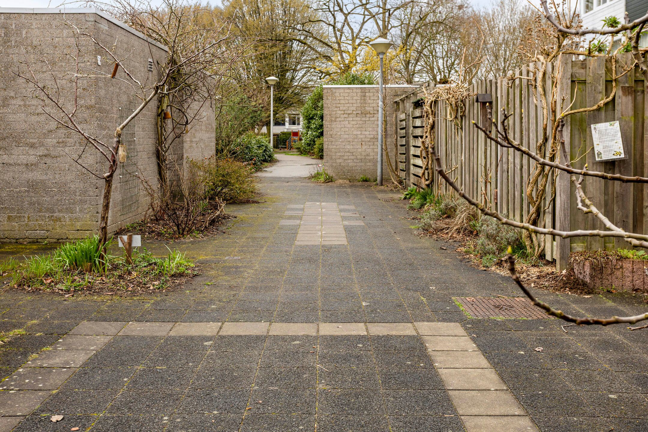 Foto 48 van Spijkert 25