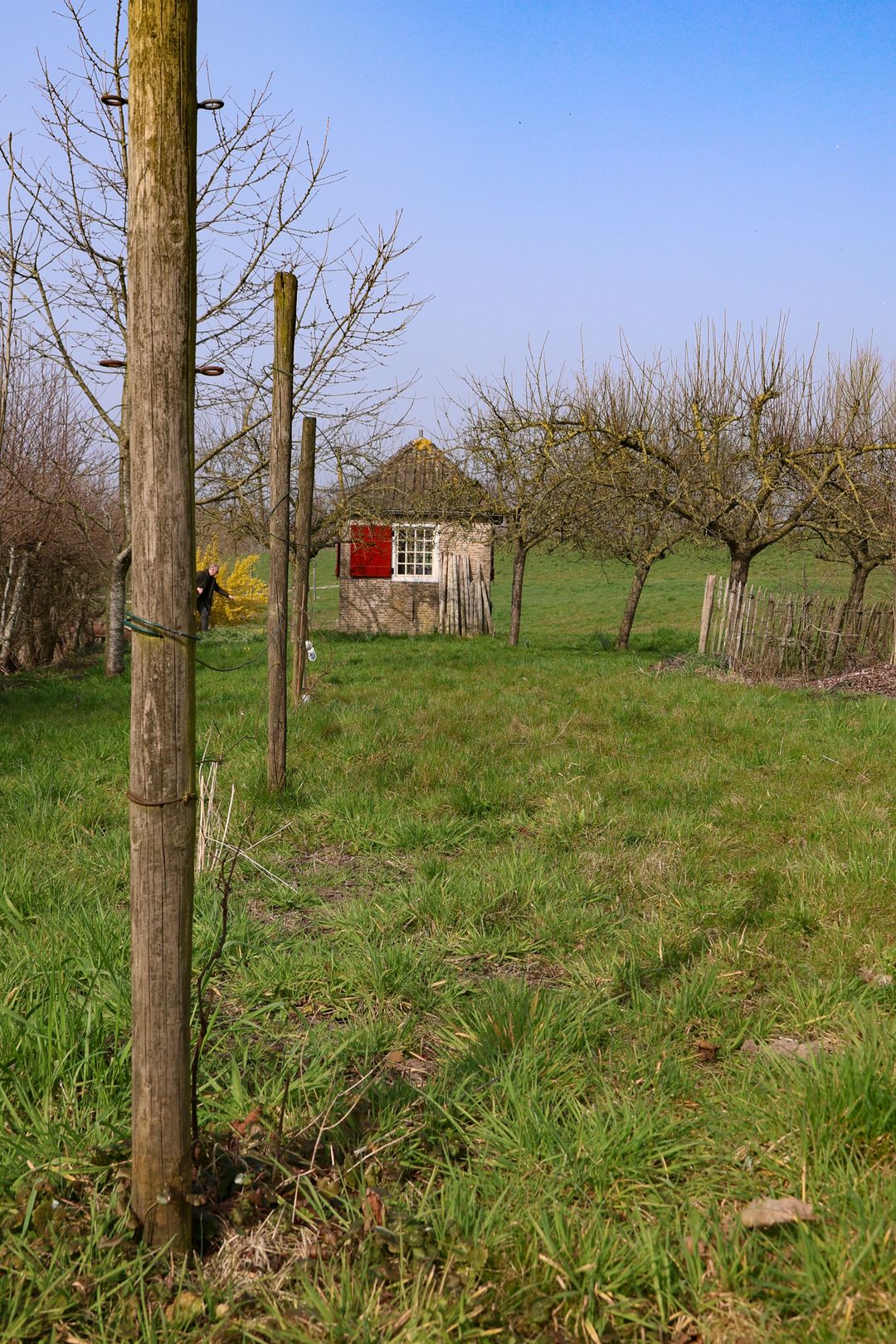 Photo 41 of Binnenhaven 2