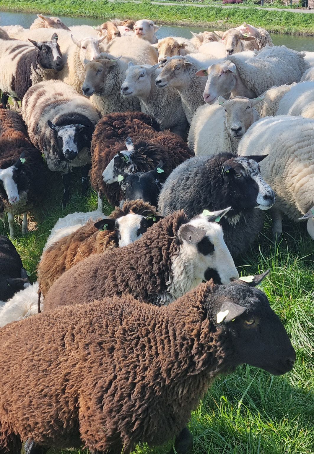 Photo 42 of Binnenhaven 2