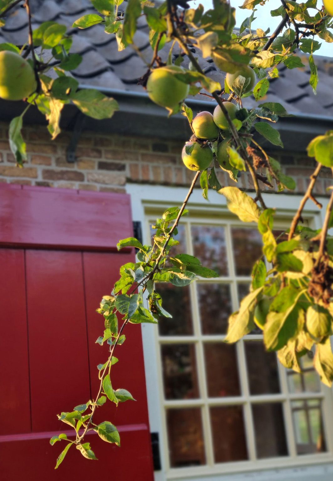 Photo 40 of Binnenhaven 2