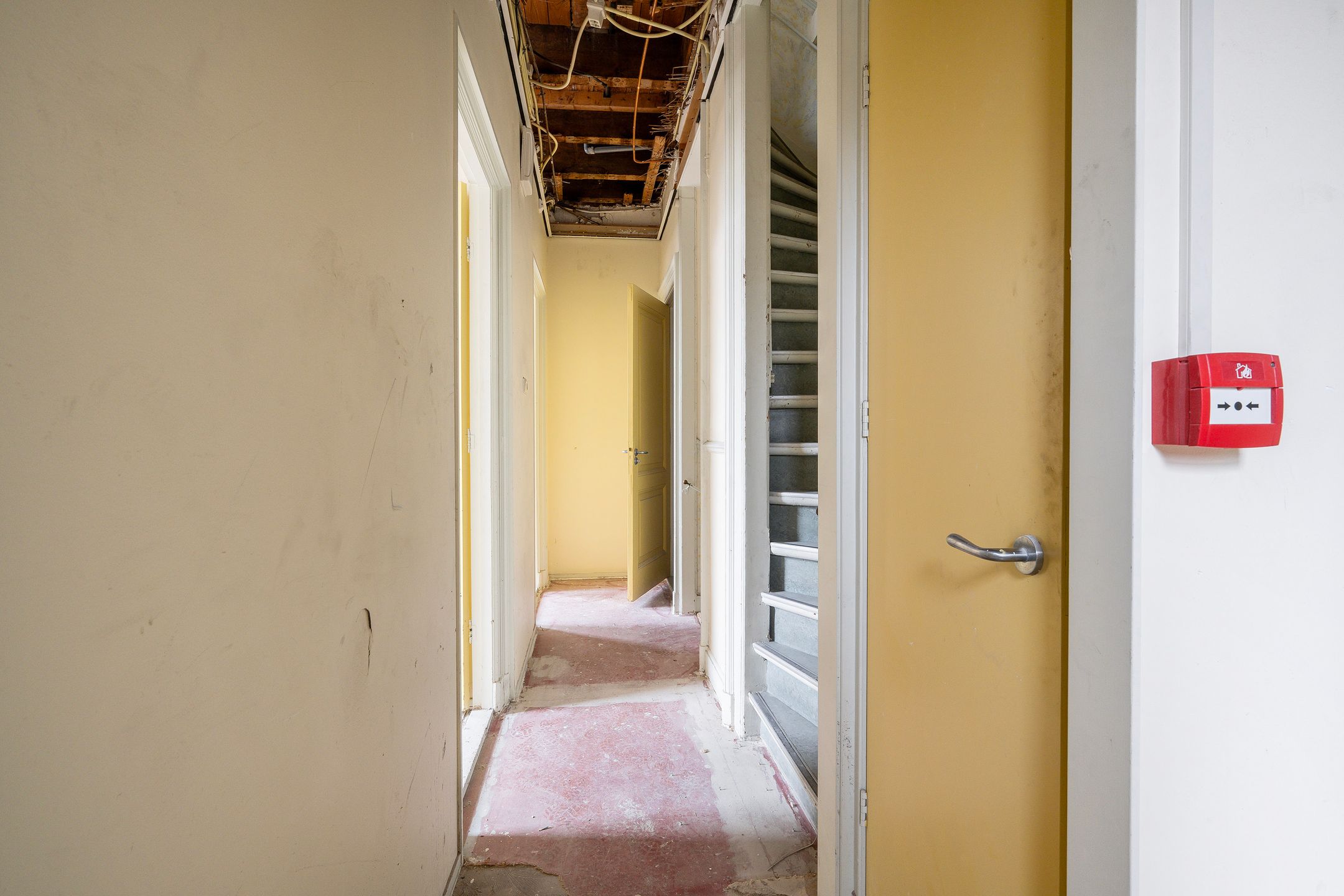 Foto 24 van Hoflaan 134