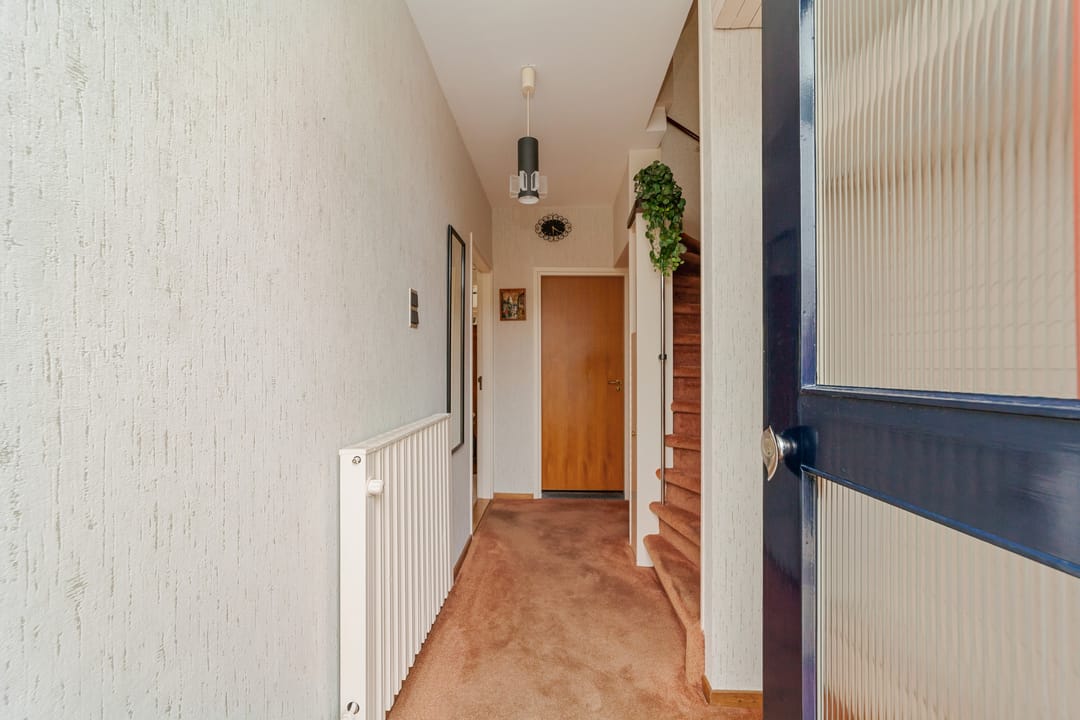 Foto 13 van Koningin Anna Paulownastraat 10