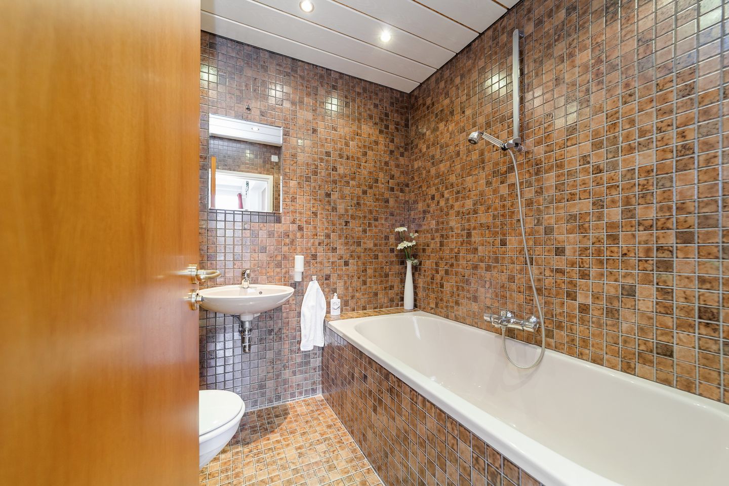 Foto 14 van Koningin Anna Paulownastraat 10