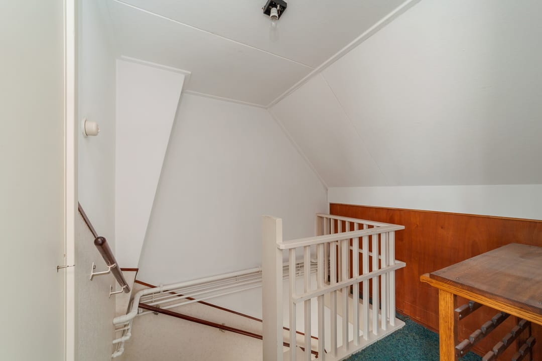 Foto 26 van Koningin Anna Paulownastraat 10