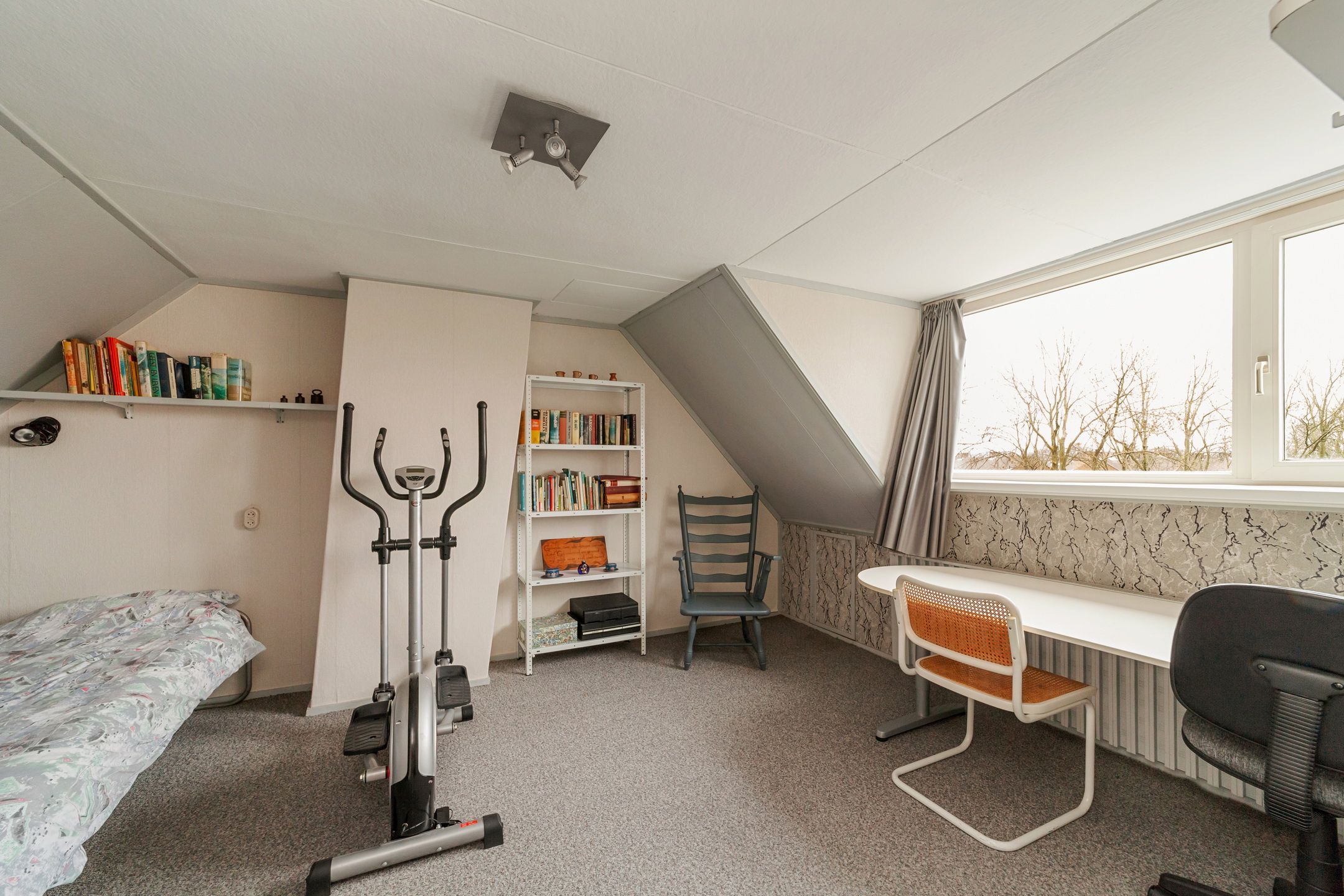 Foto 27 van Koningin Anna Paulownastraat 10