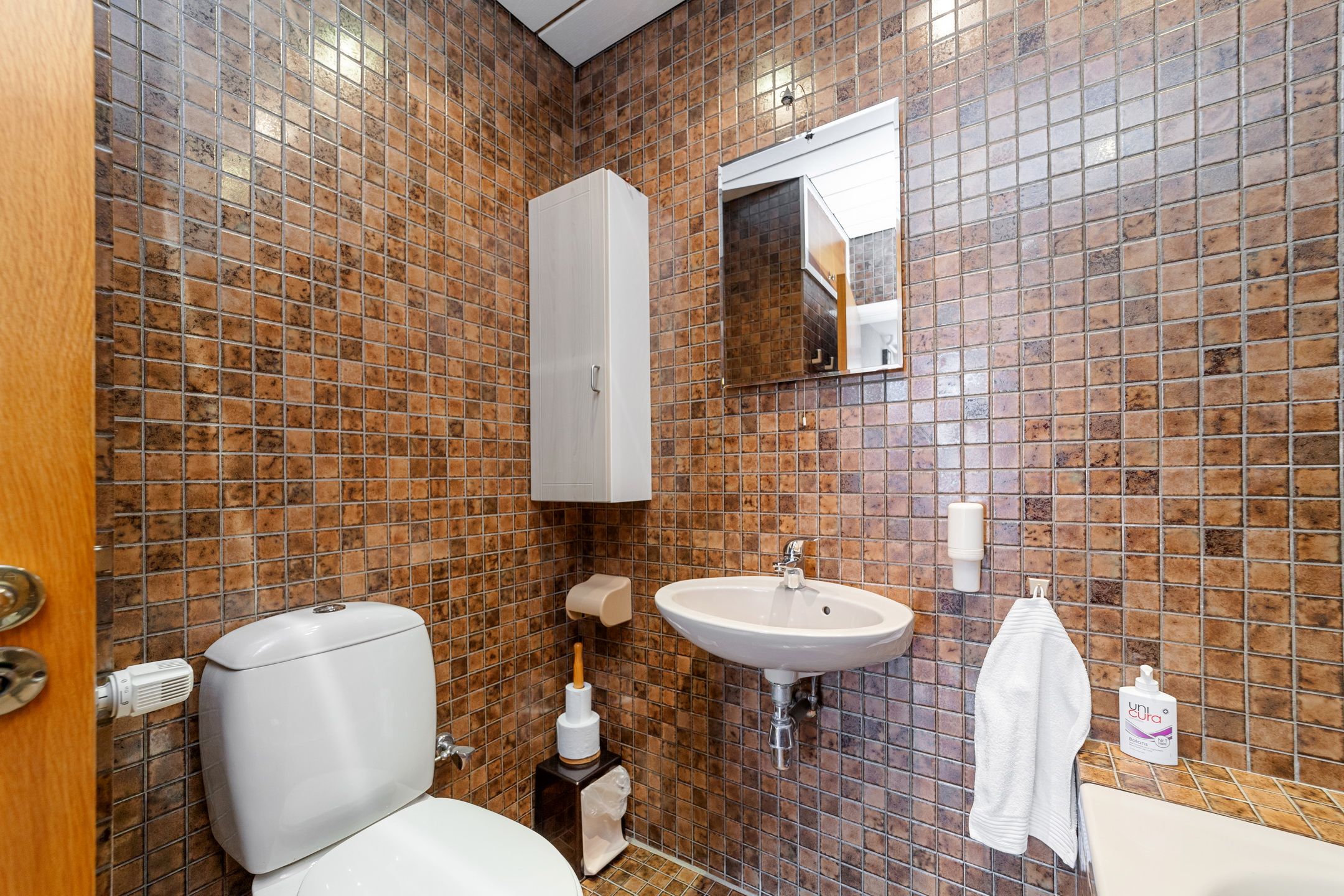 Foto 15 van Koningin Anna Paulownastraat 10