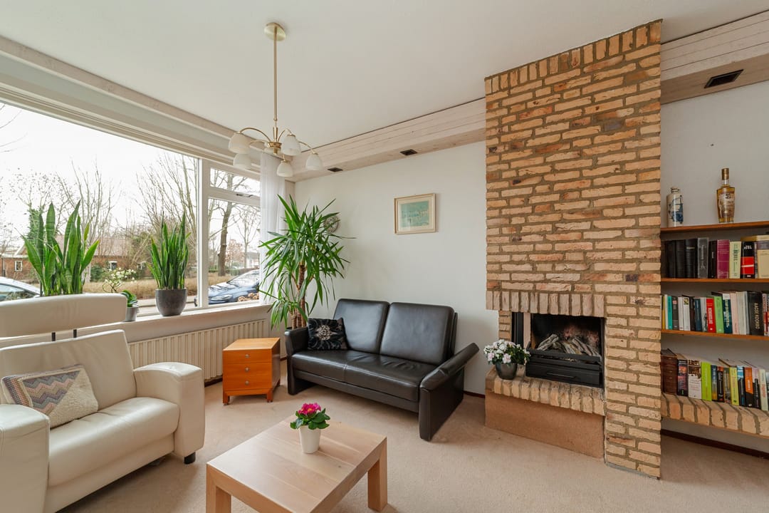 Foto 7 van Koningin Anna Paulownastraat 10