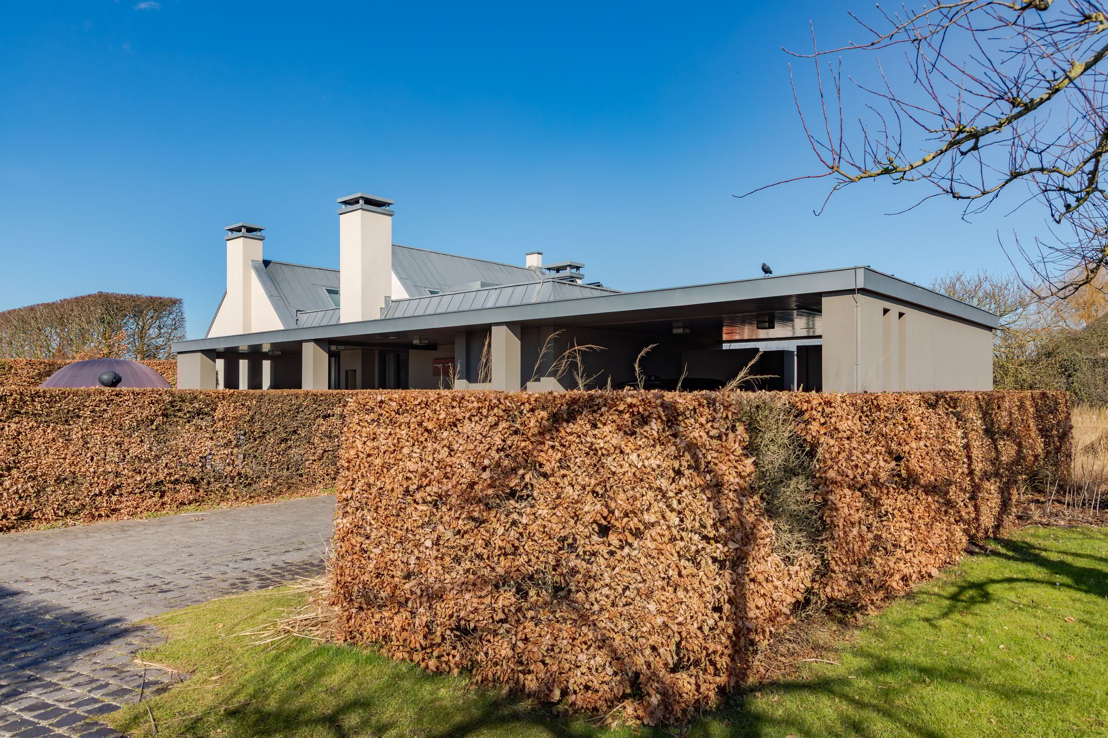 Foto 48 van De Haal 72