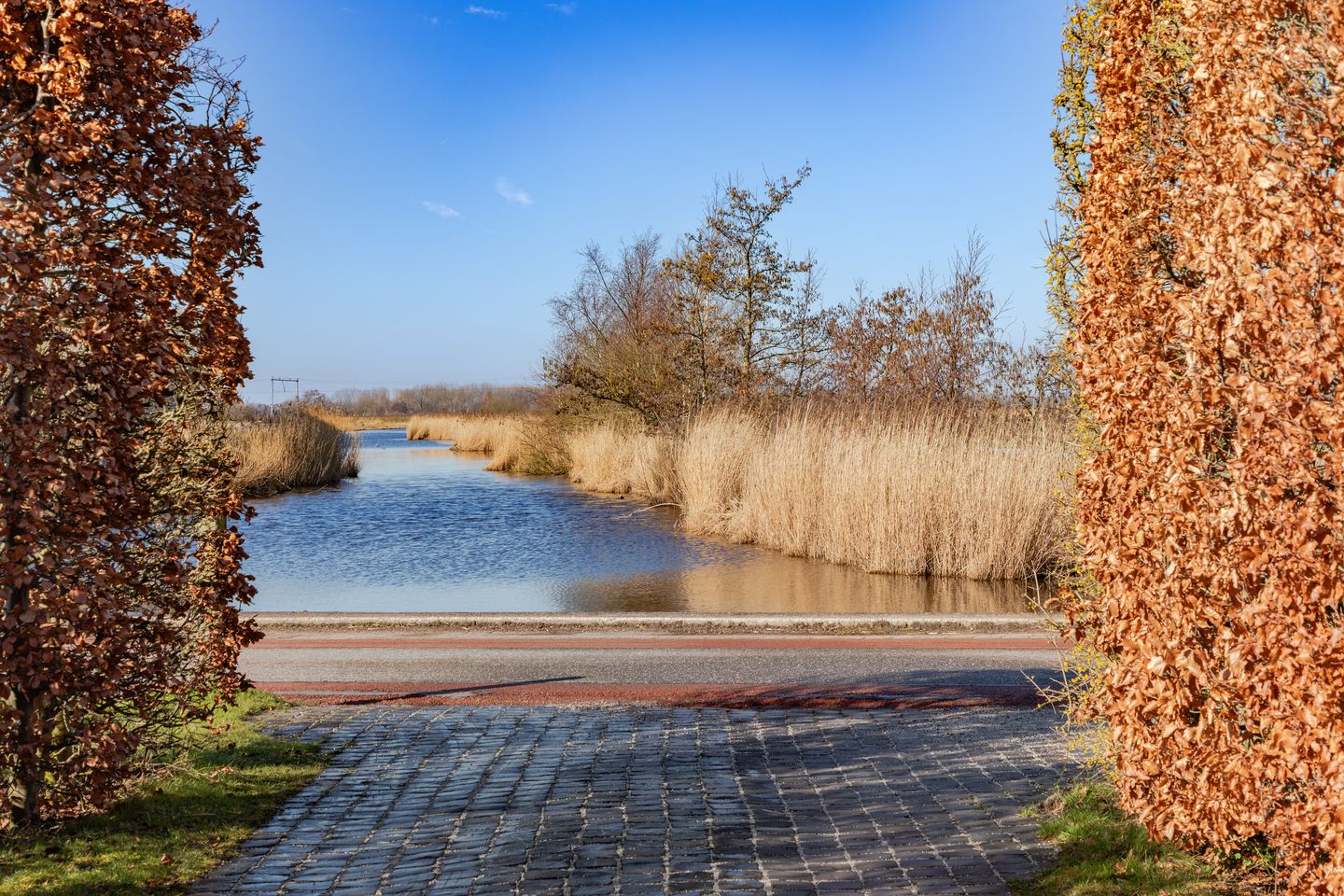 Foto 50 van De Haal 72