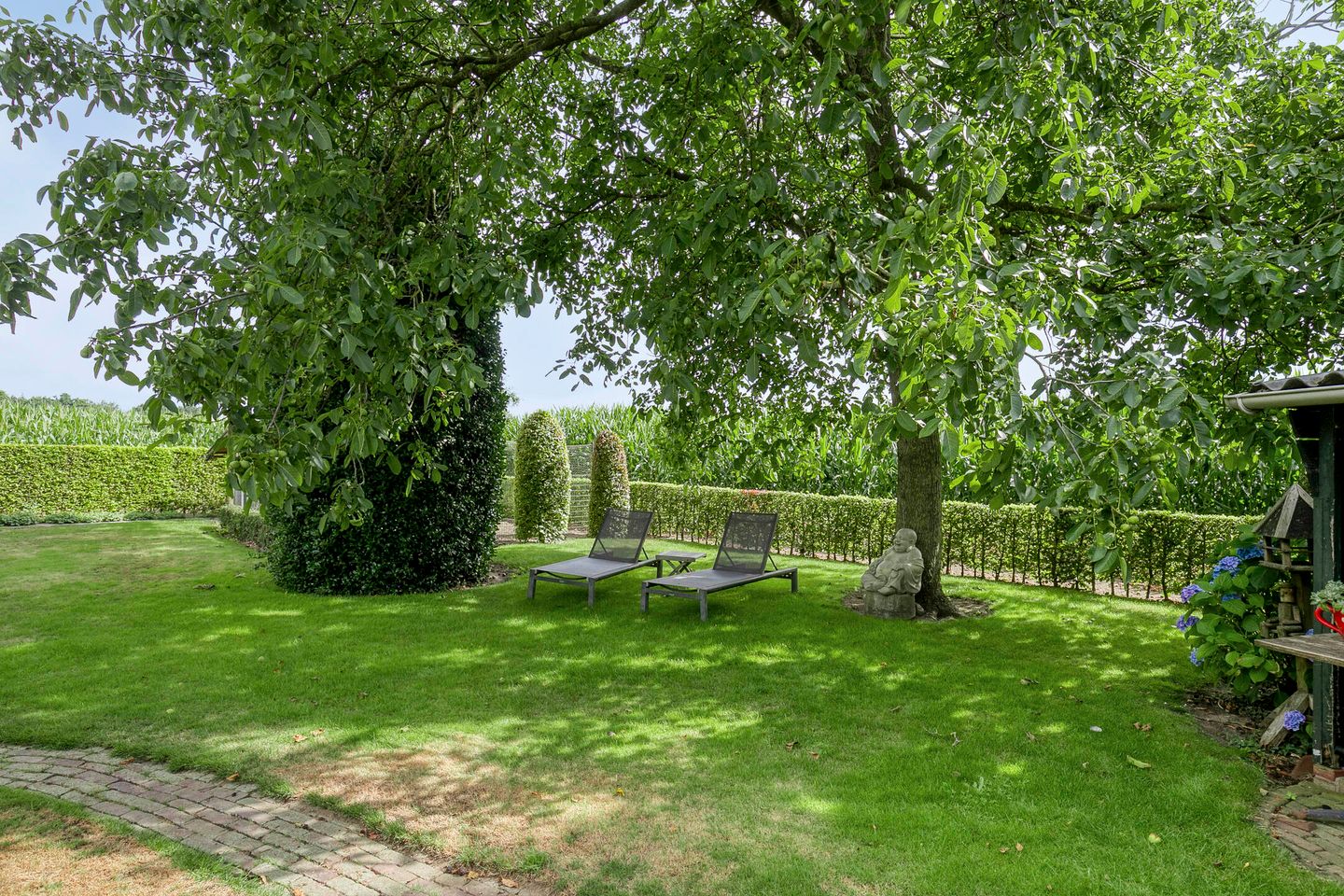 Foto 34 van Zoggelsestraat 89