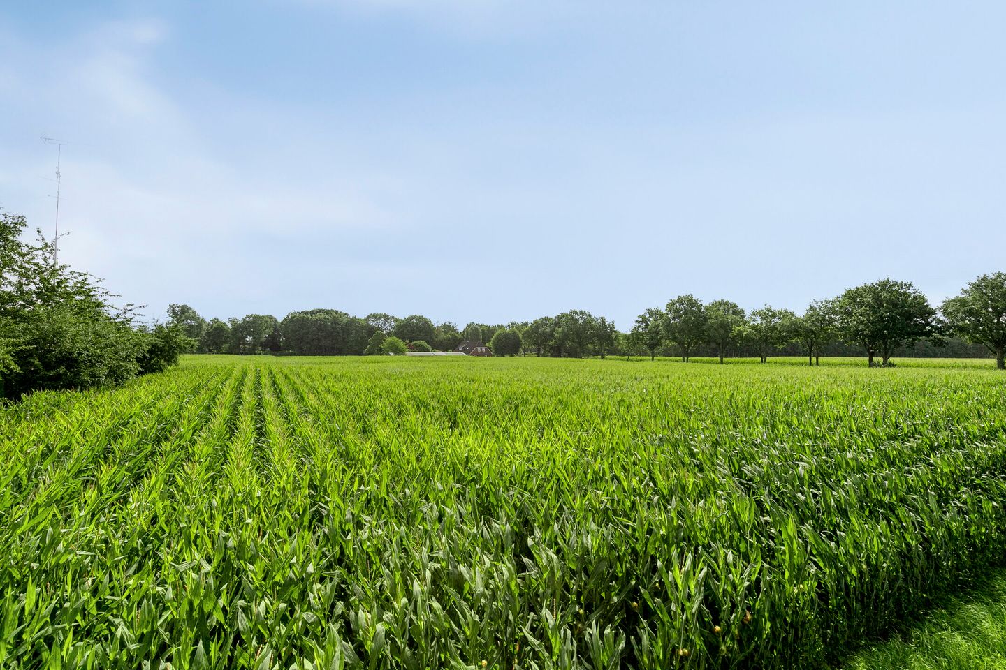 Foto 40 van Zoggelsestraat 89