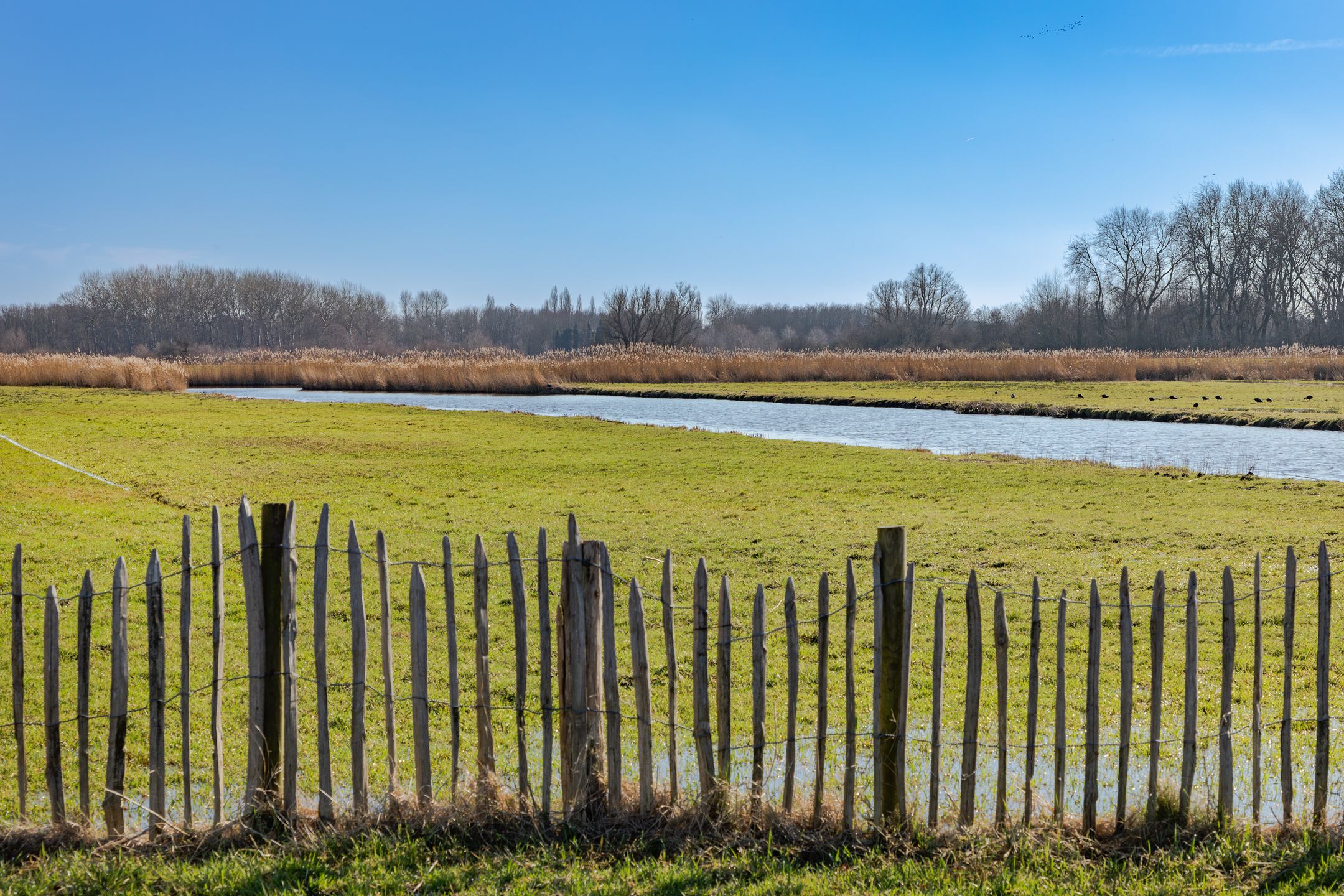 Foto 51 van De Haal 72