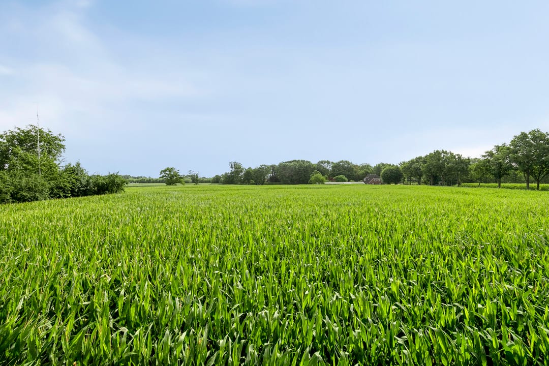 Foto 41 van Zoggelsestraat 89