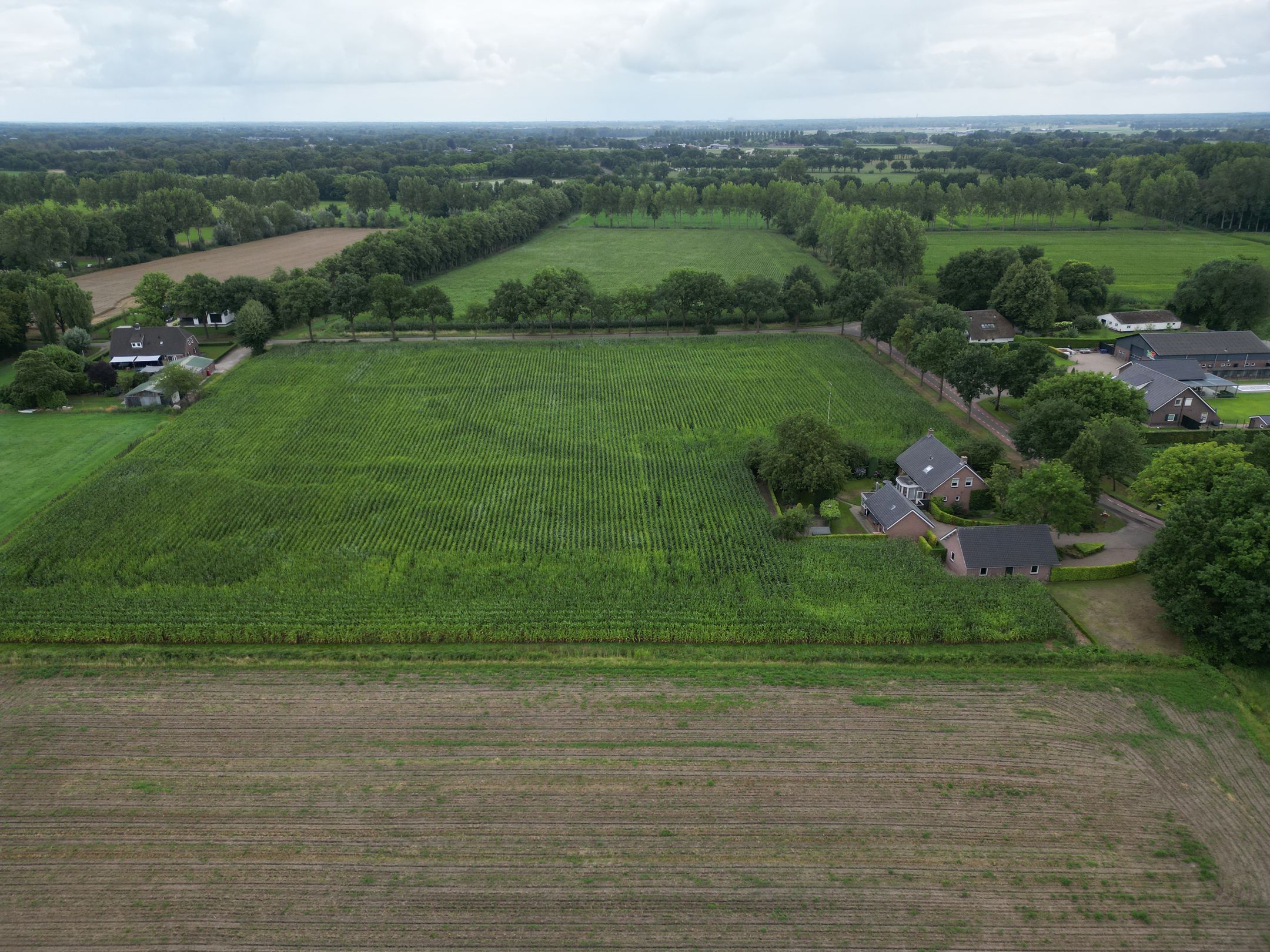 Foto 54 van Zoggelsestraat 89