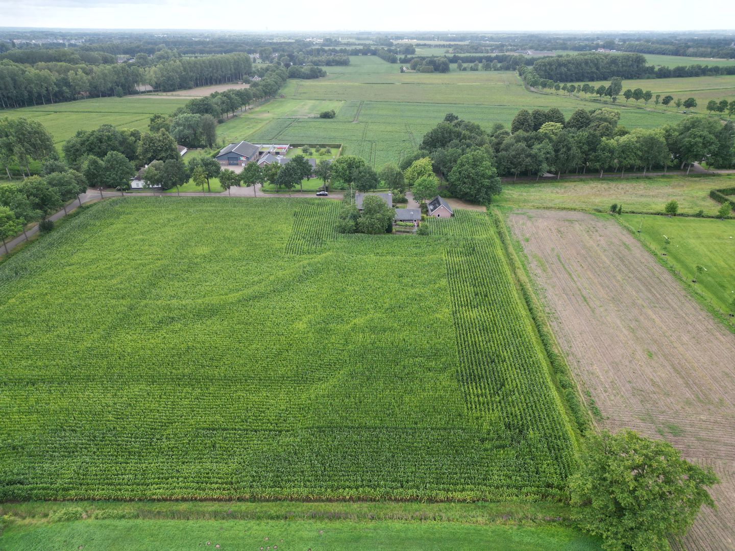 Foto 55 van Zoggelsestraat 89