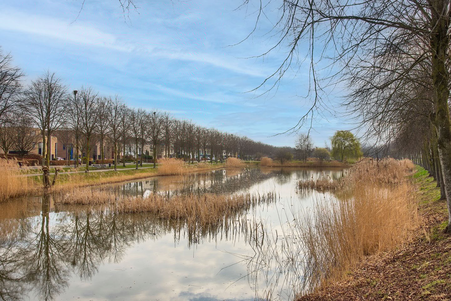 Foto 44 van Trondheimstraat 23