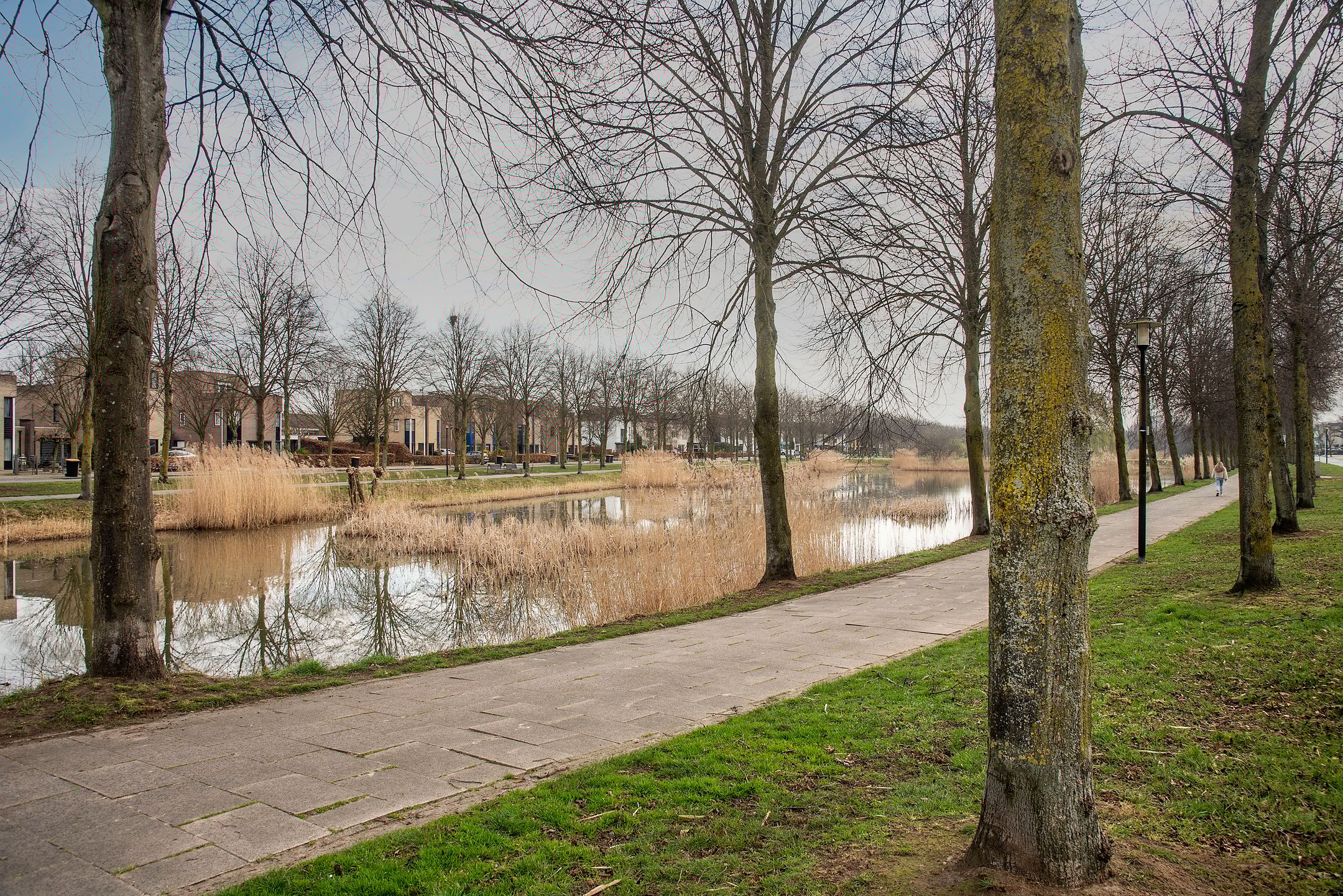 Foto 45 van Trondheimstraat 23