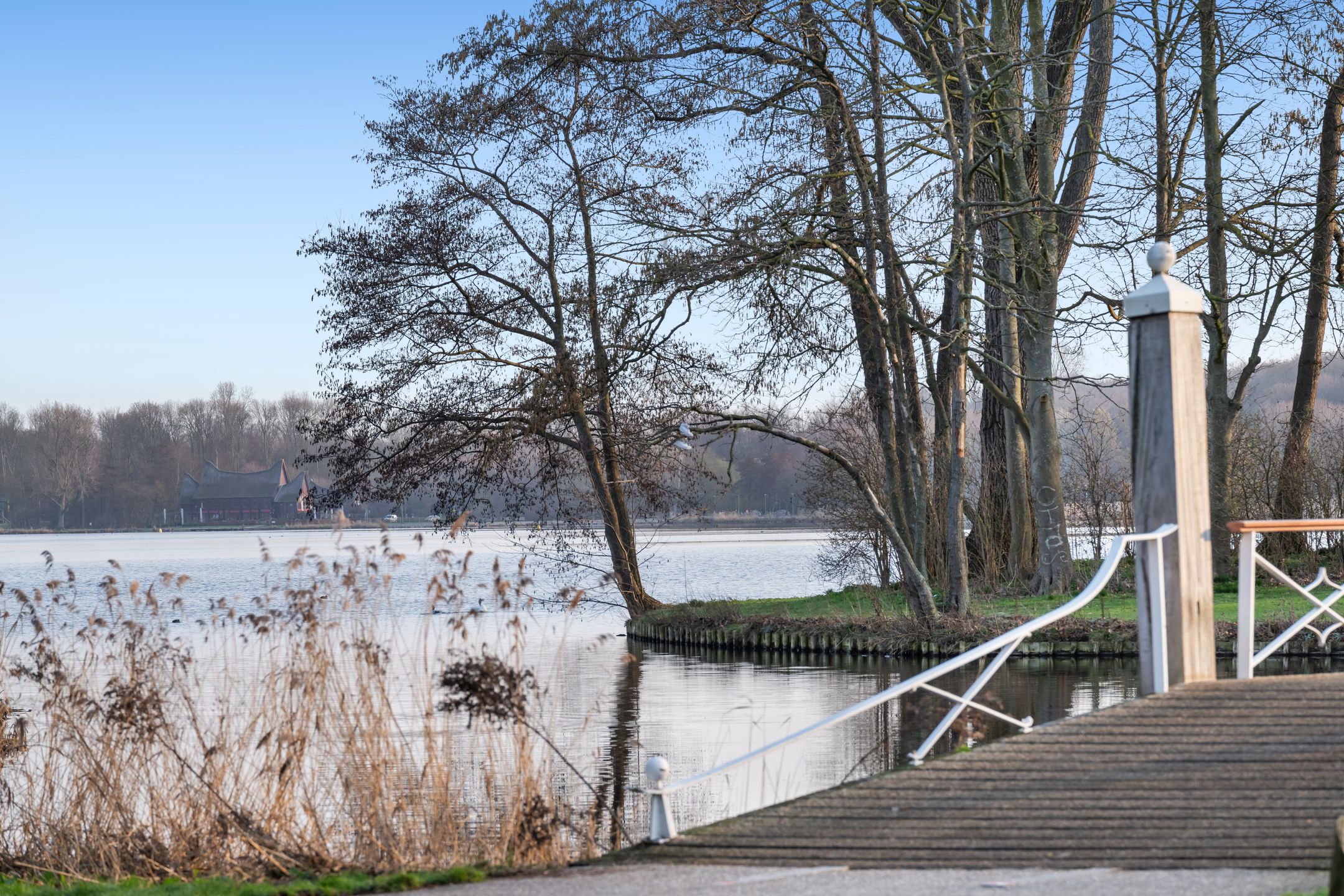 Photo 57 of Oranjelaan 29