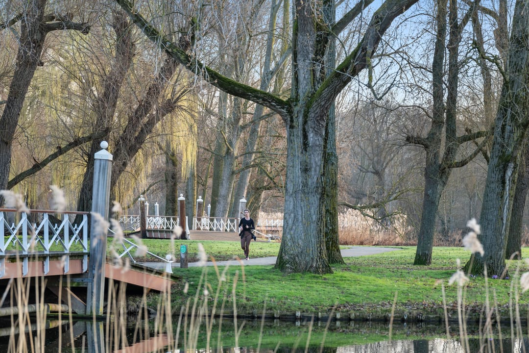 Photo 58 of Oranjelaan 29