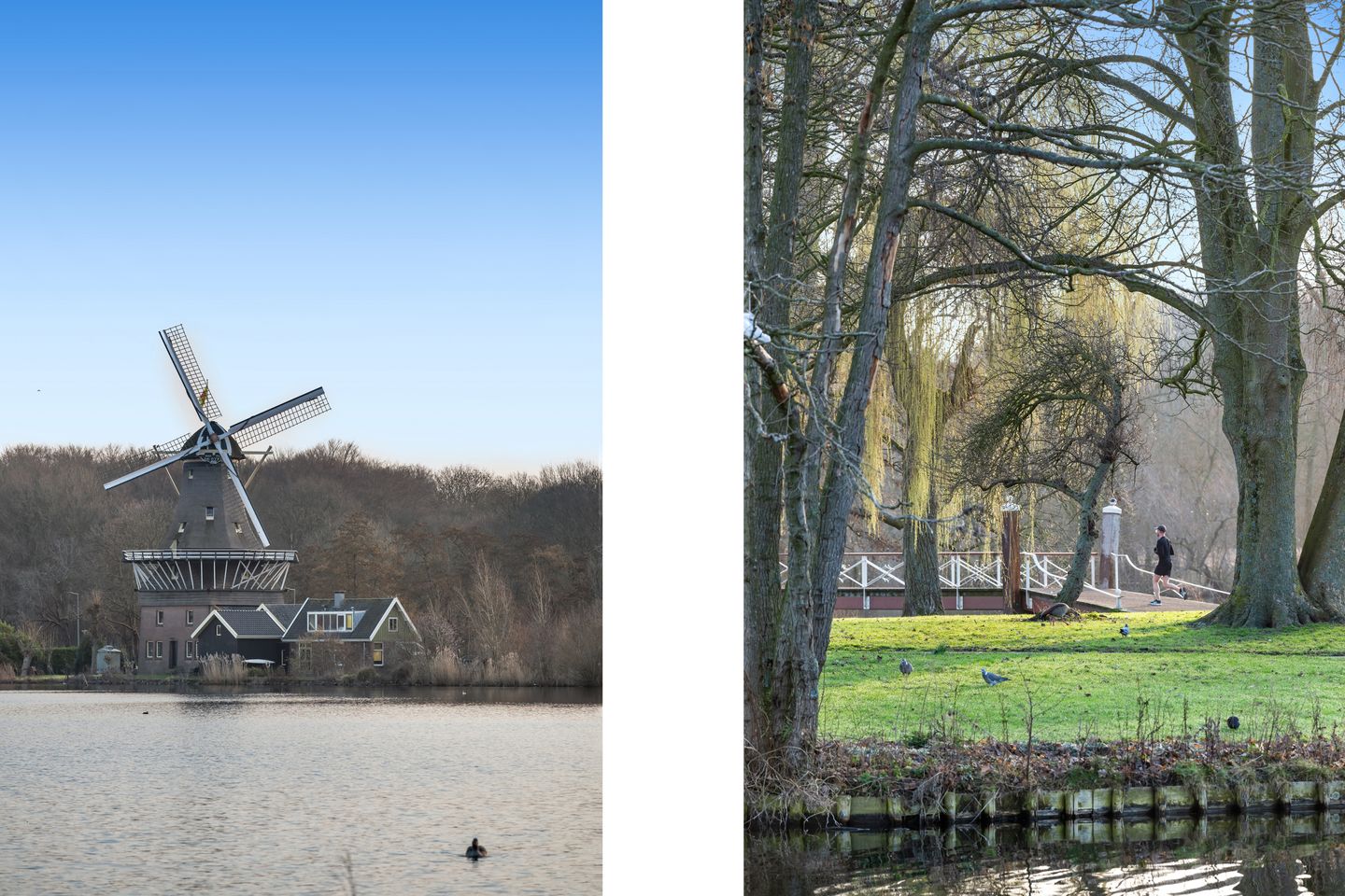 Photo 59 of Oranjelaan 29