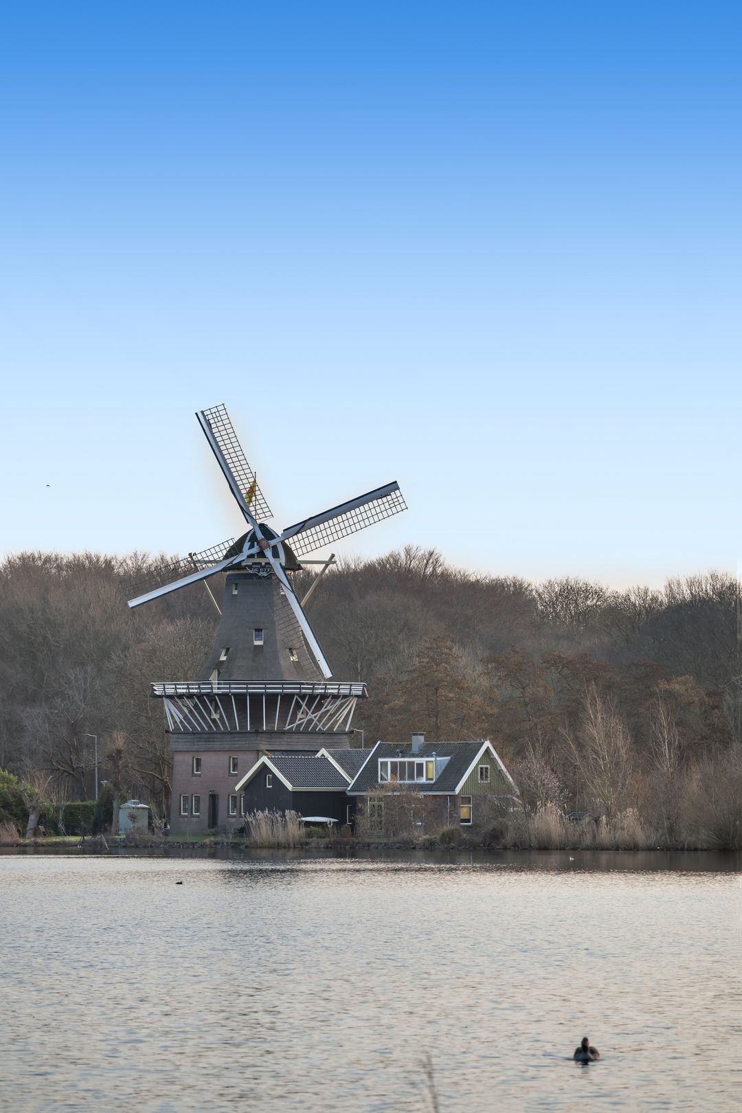 Photo 61 of Oranjelaan 29