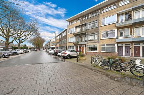 Willemskade 213-1 tertiary image