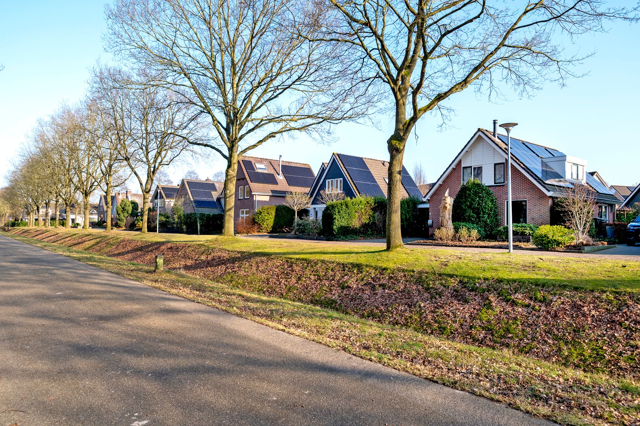 Photo 48 of Buitenbree 8