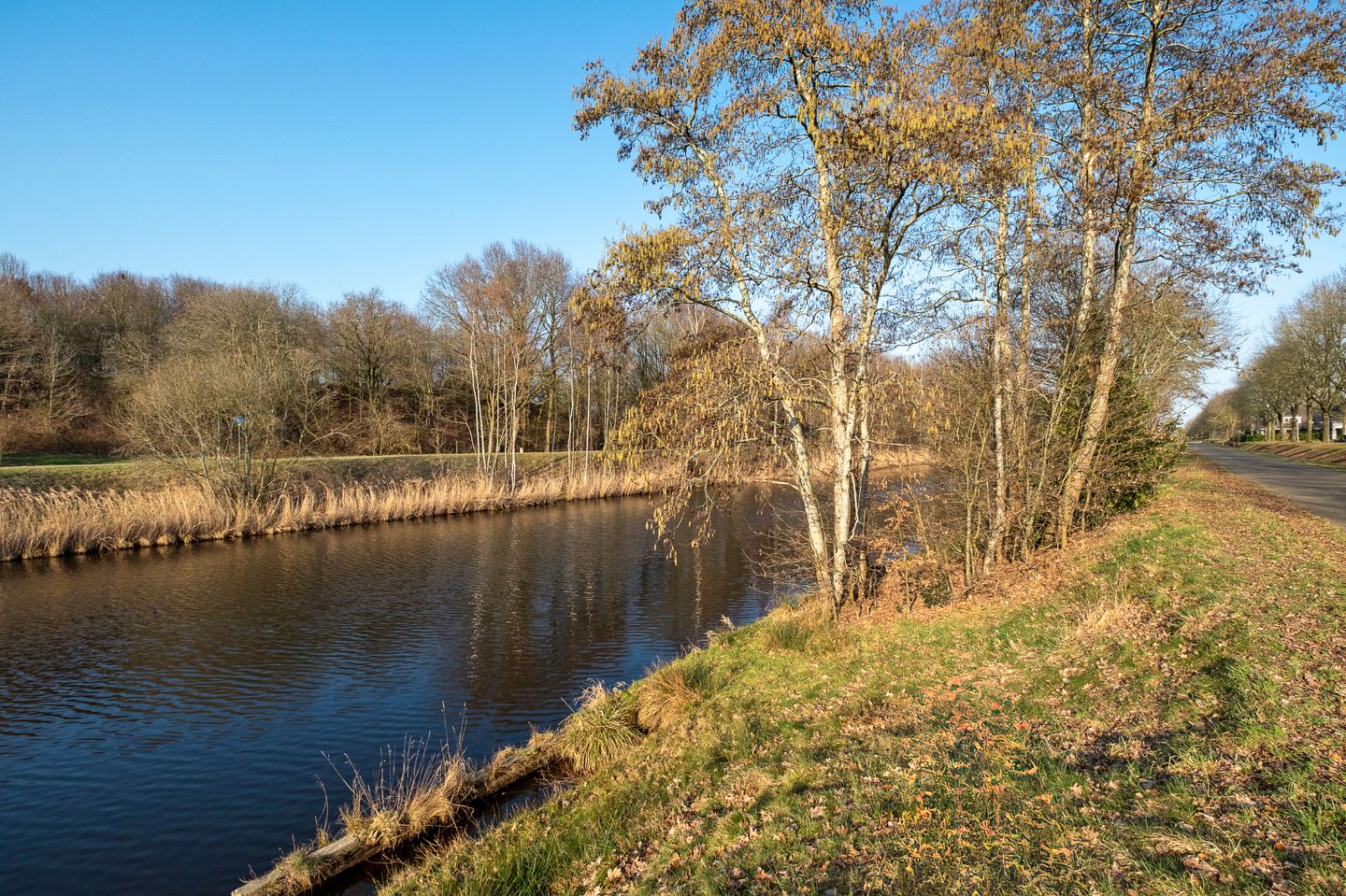 Photo 49 of Buitenbree 8