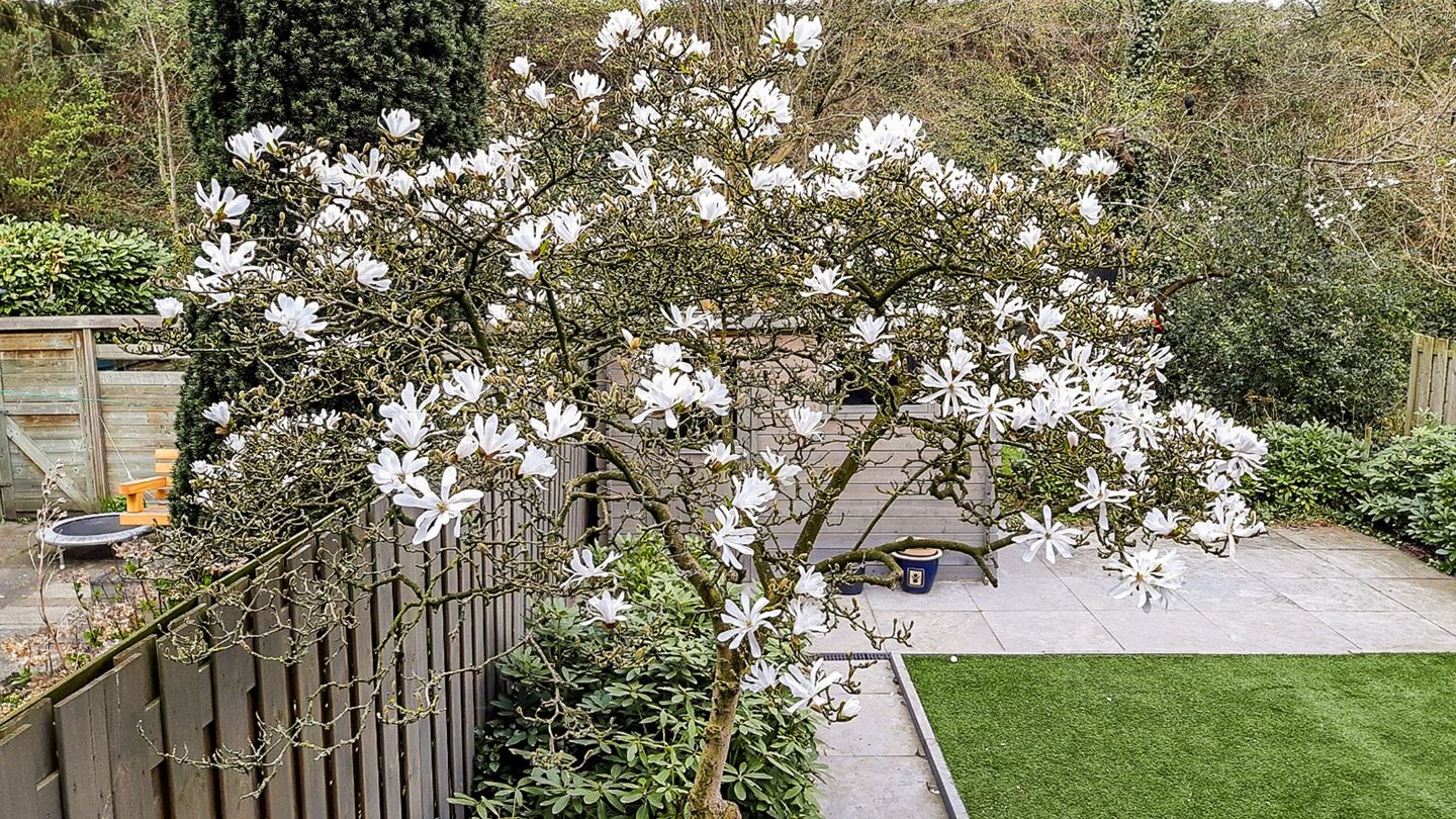 Foto 14 van Archimedesweg 17