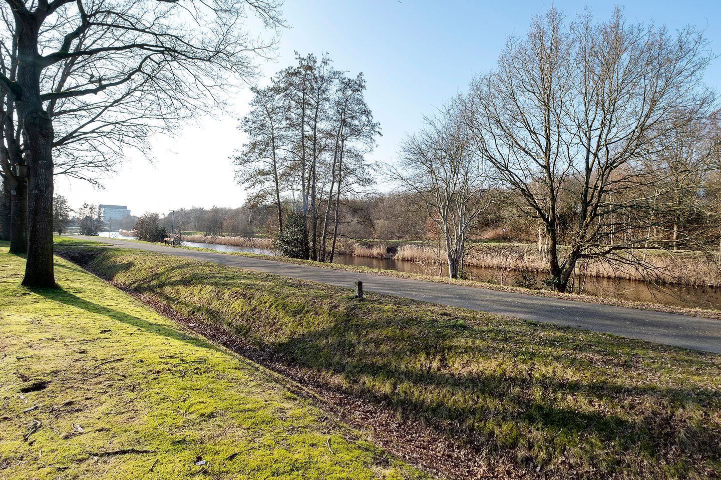 Photo 50 of Buitenbree 8