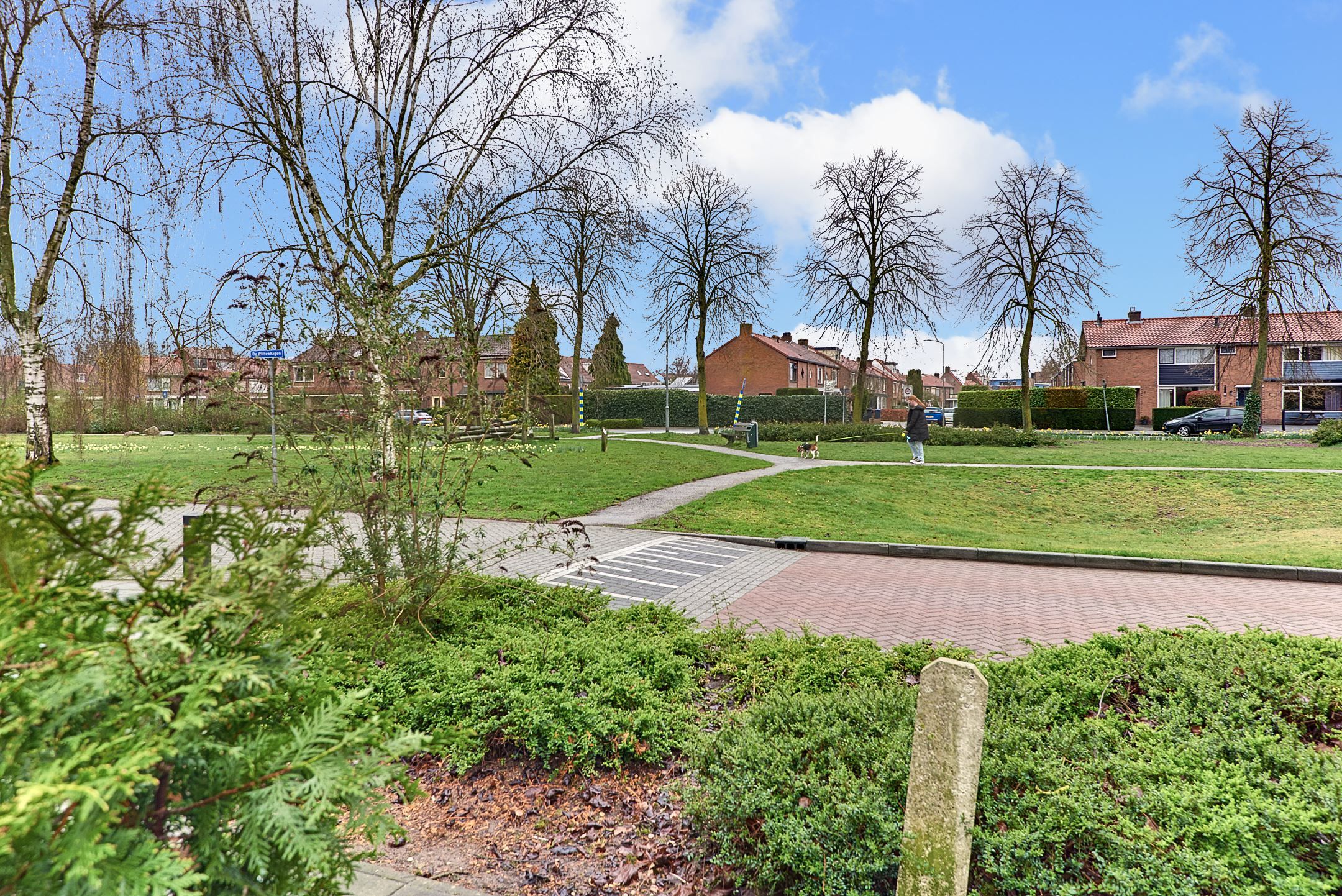 Photo 66 of De Wittenhagen 22